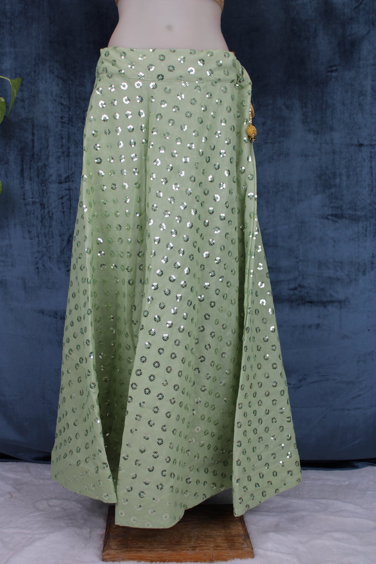 Anne - Georgette Sequin Circular Lehenga Skirt