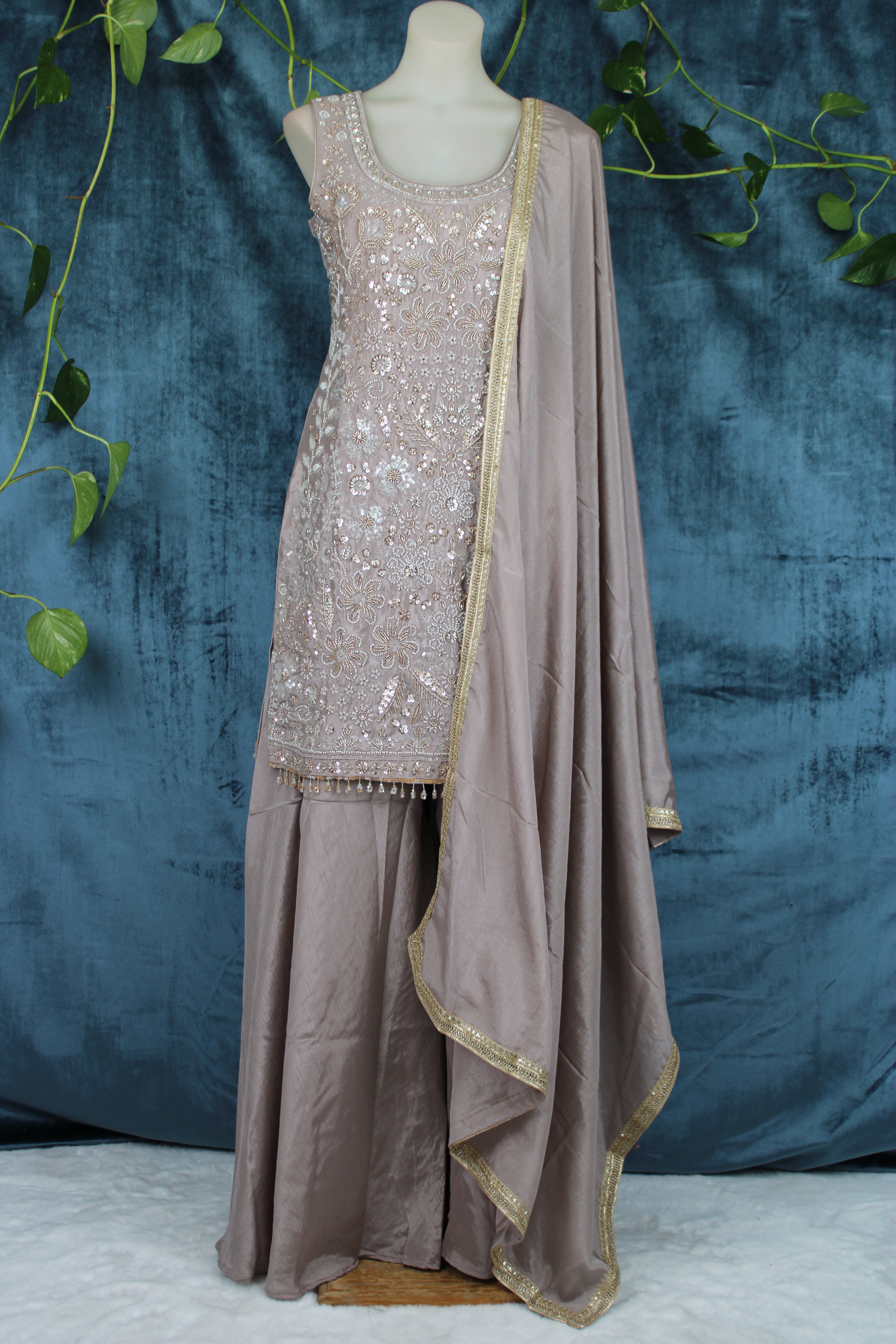 Anubha - Plazo Suits