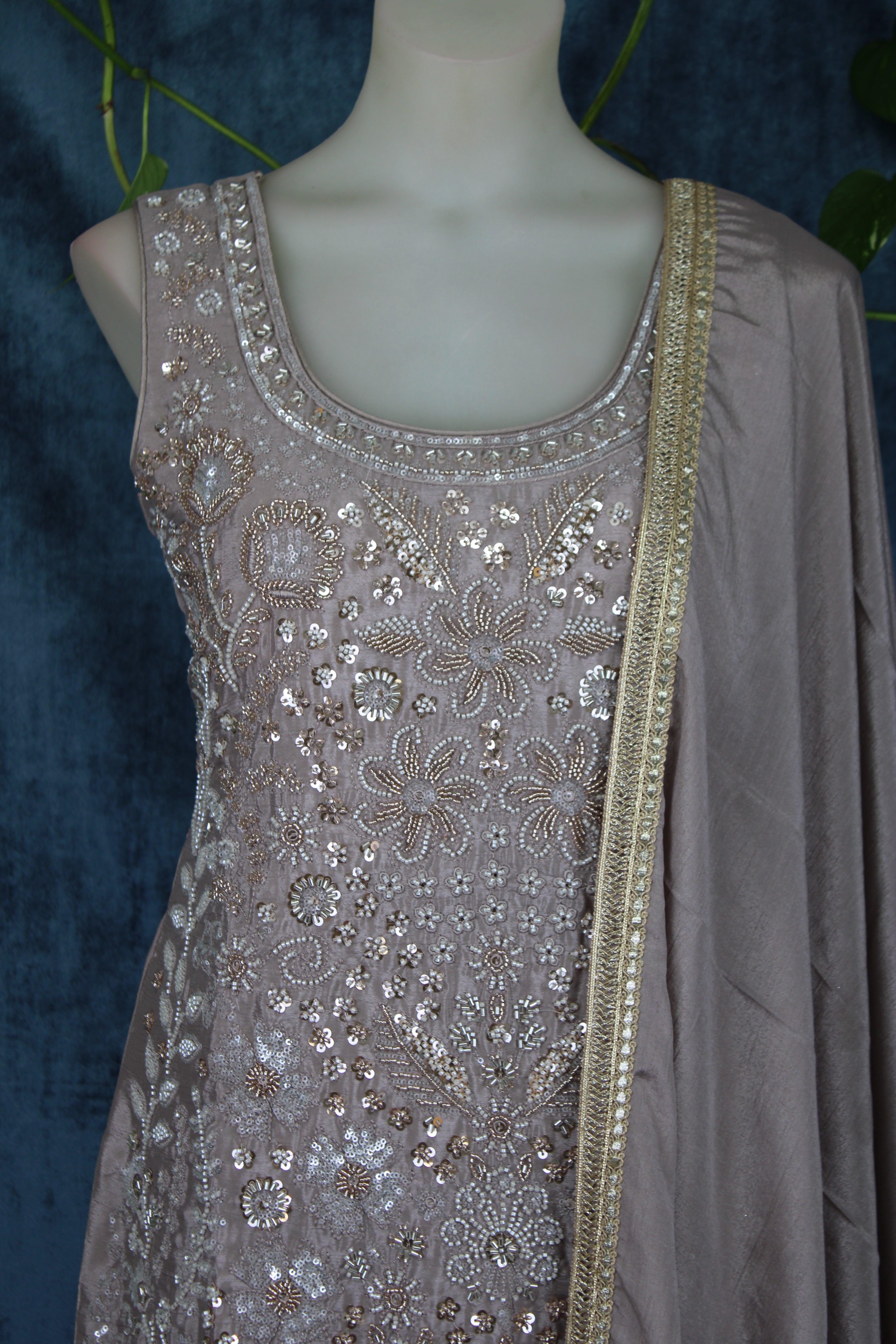 Anubha - Plazo Suits