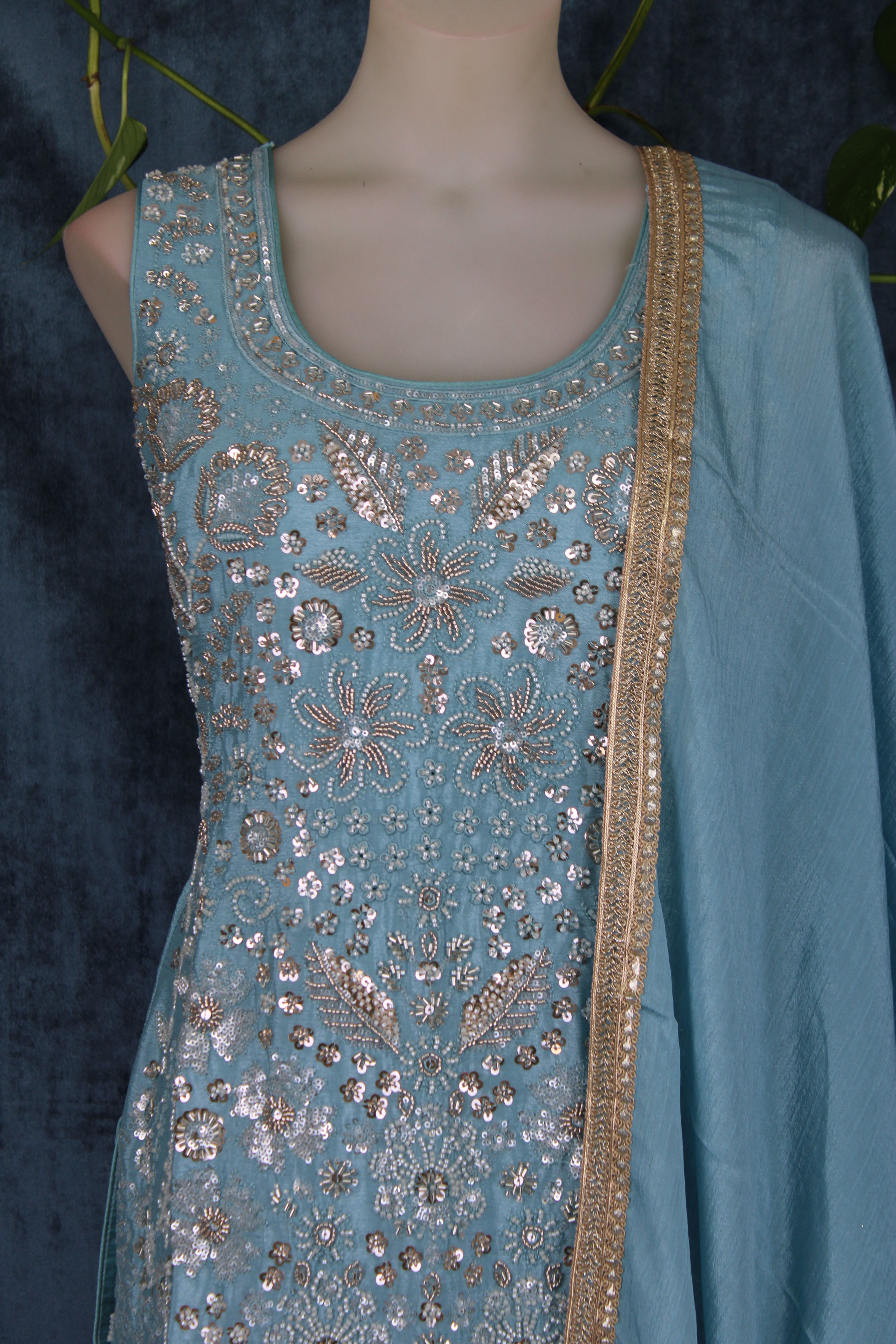 Anubha - Plazo Suits