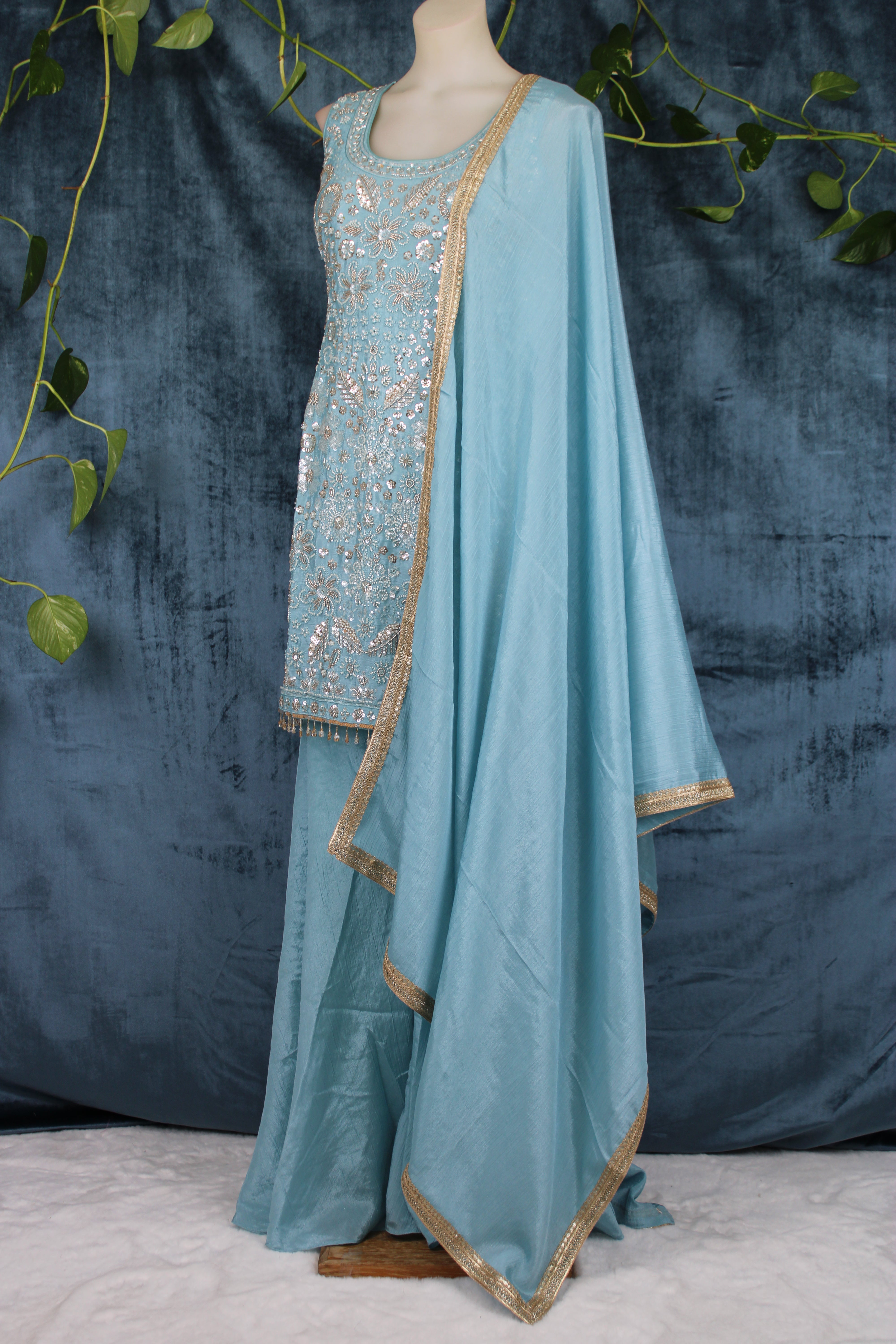 Anubha - Plazo Suits