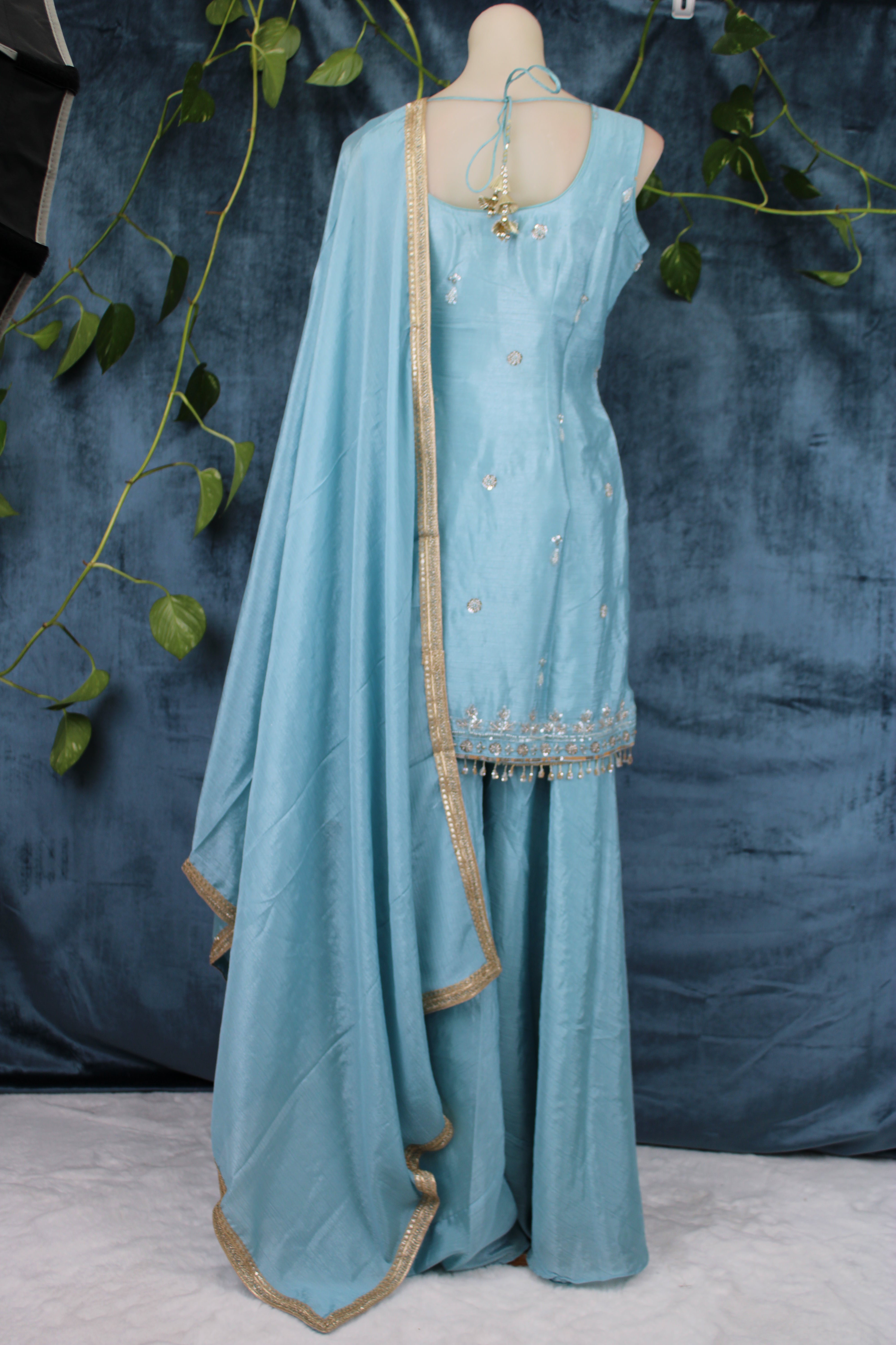 Anubha - Plazo Suits