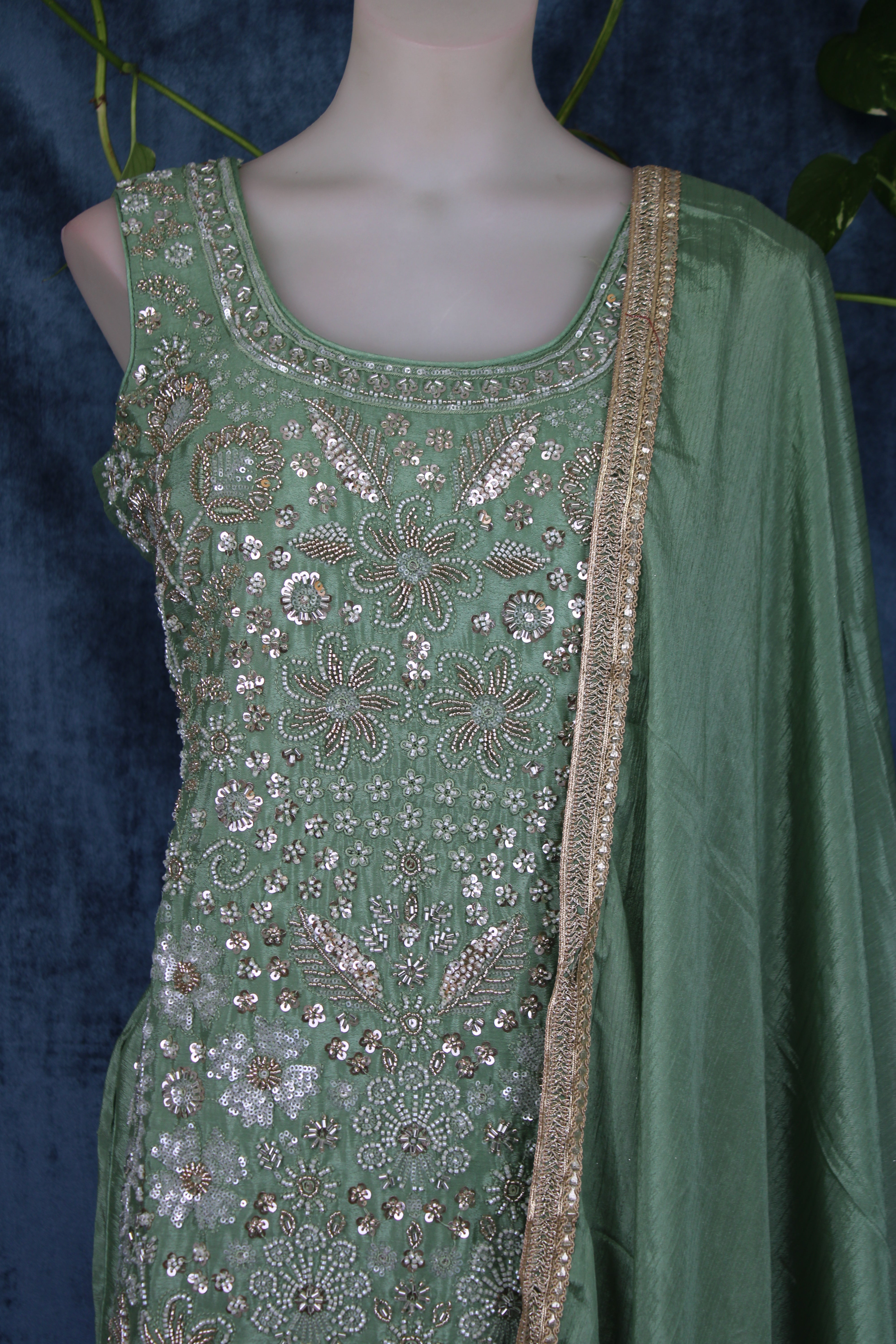 Anubha - Plazo Suits