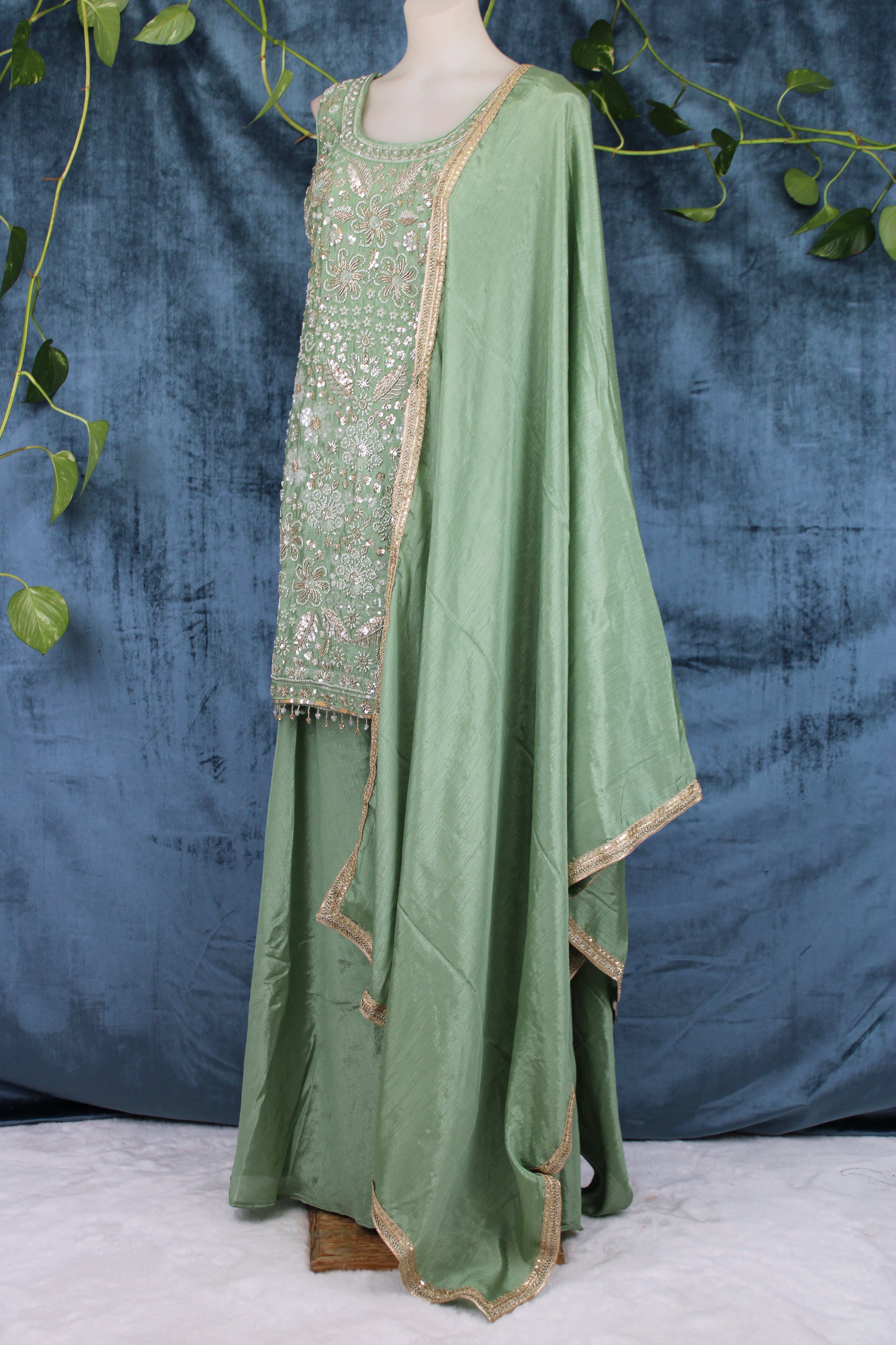Anubha - Plazo Suits