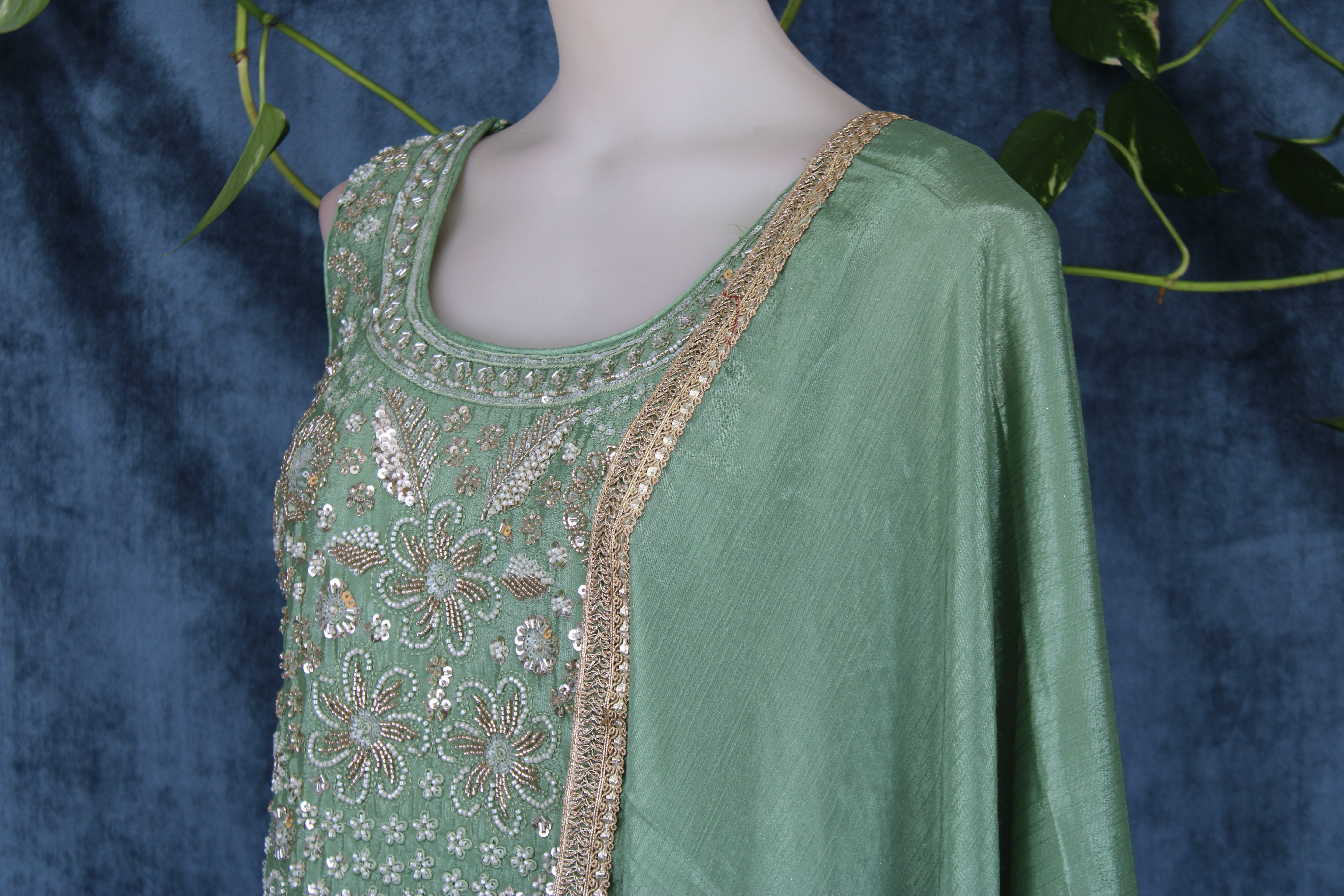 Anubha - Plazo Suits