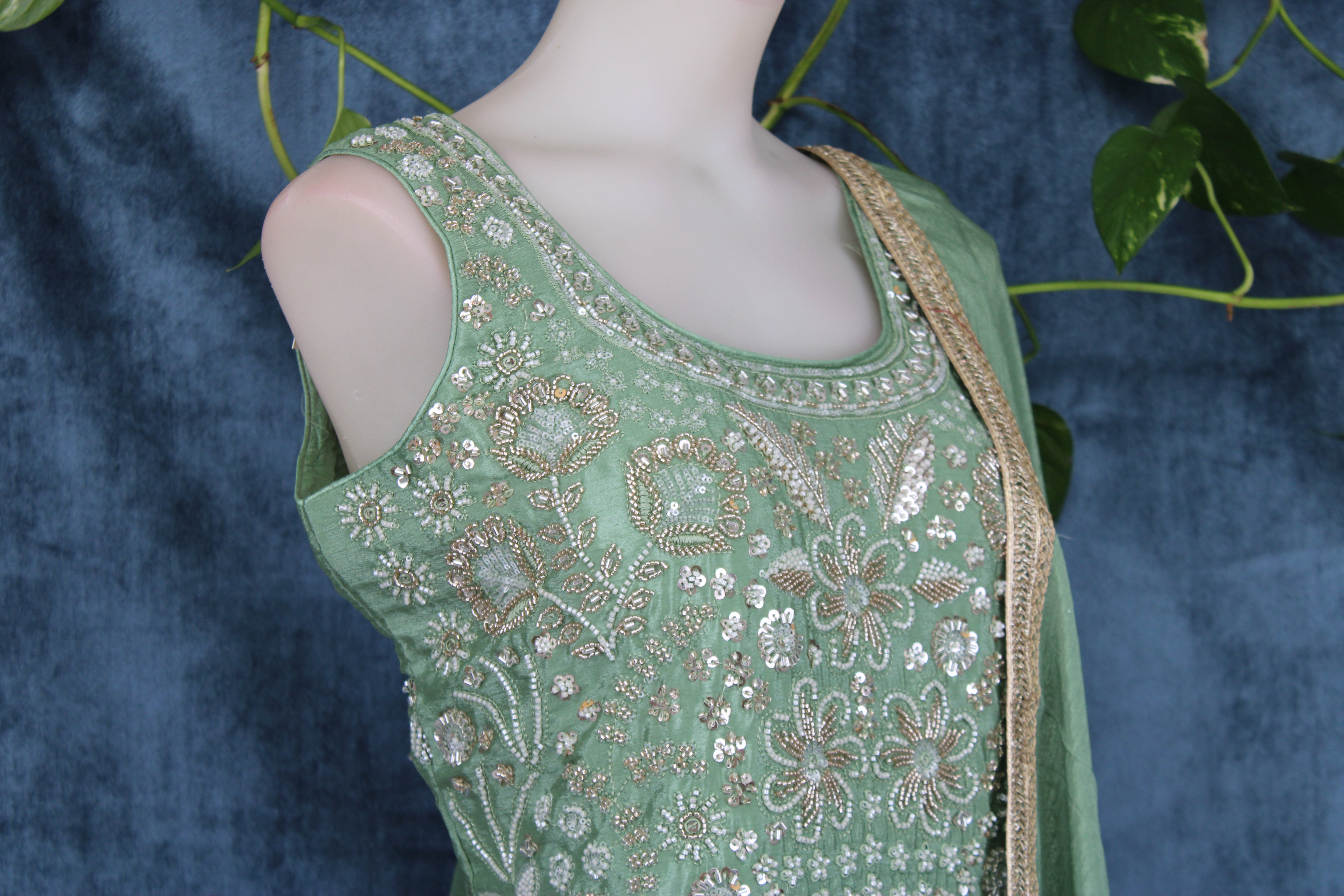 Anubha - Plazo Suits