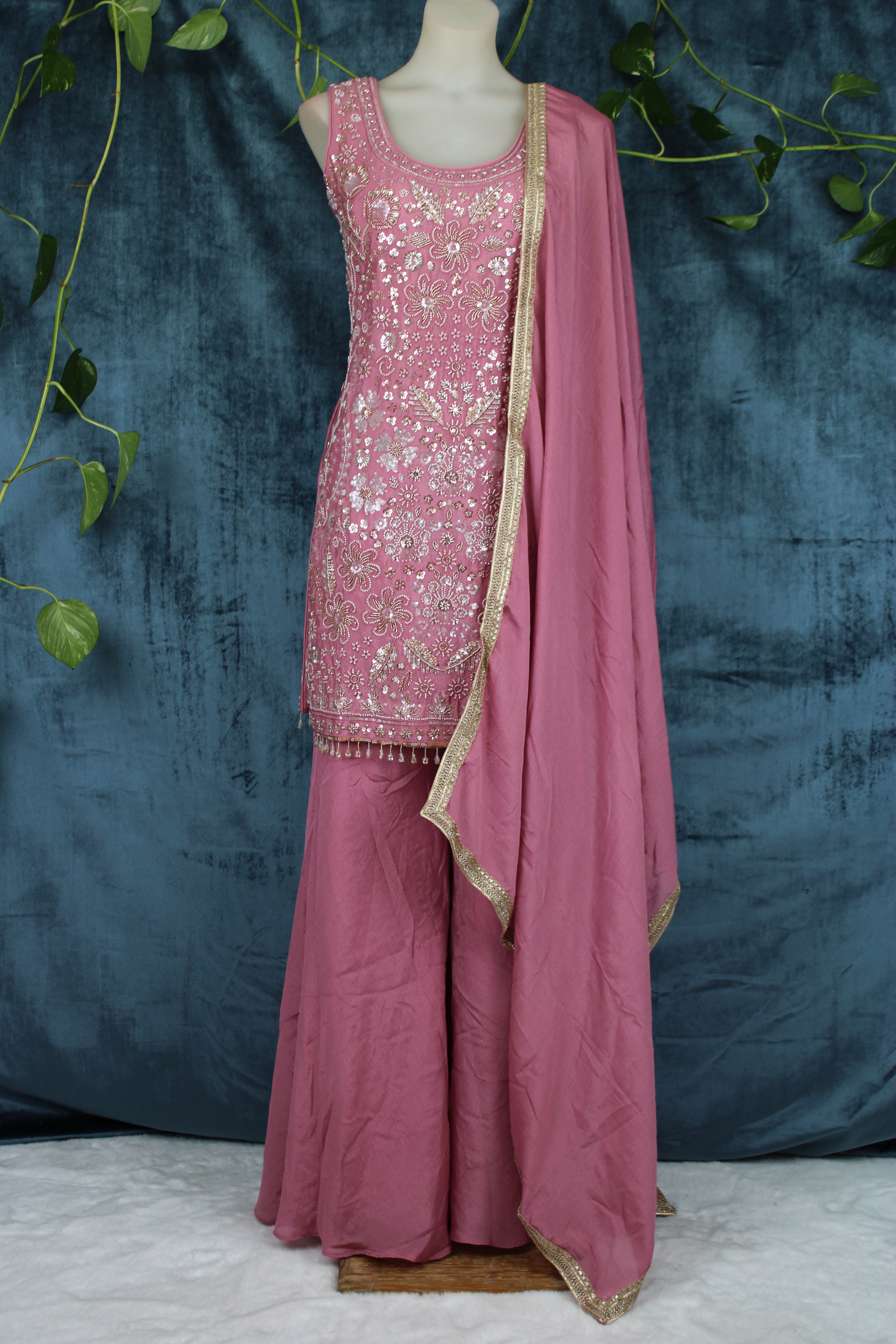 Anubha - Plazo Suits