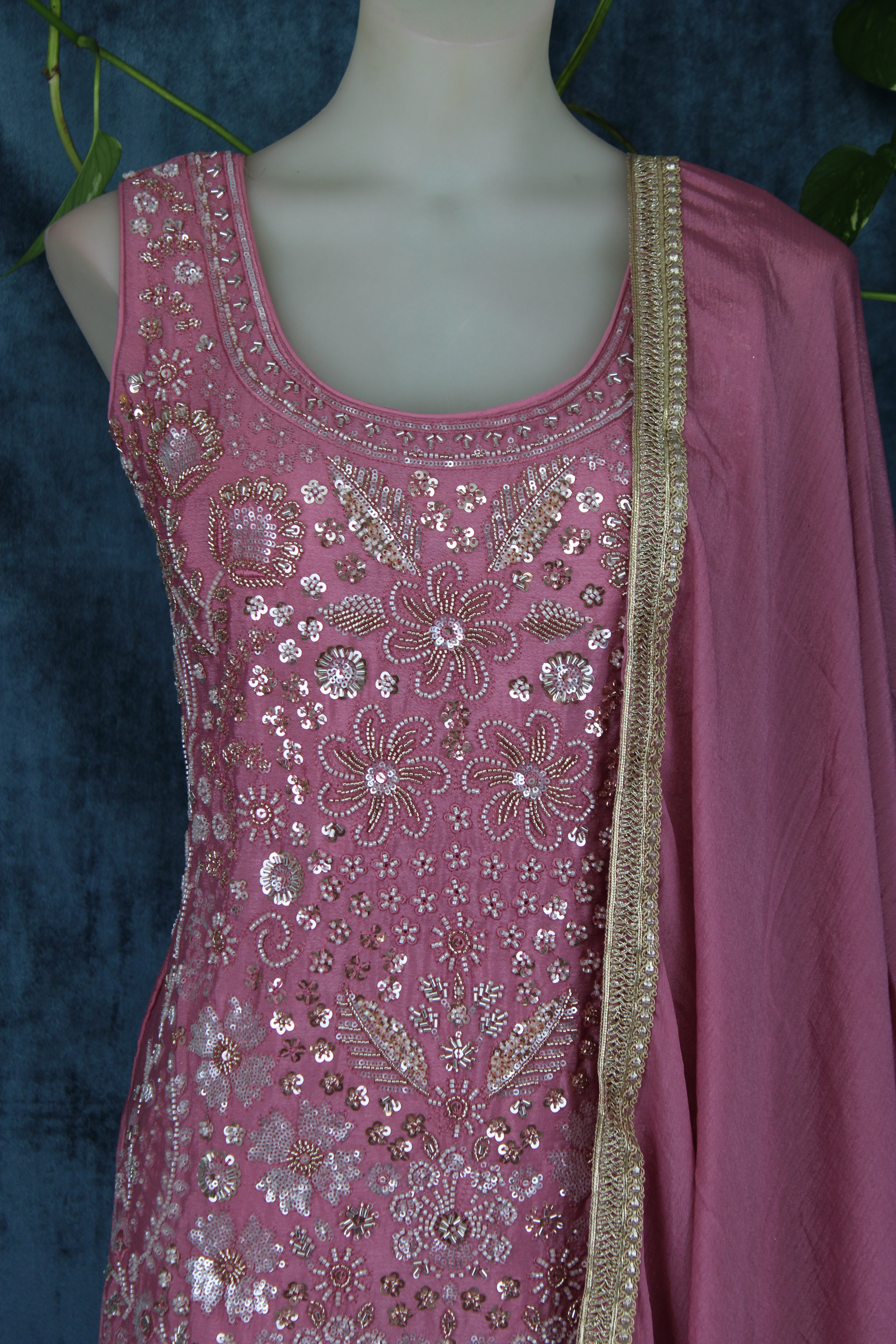 Anubha - Plazo Suits