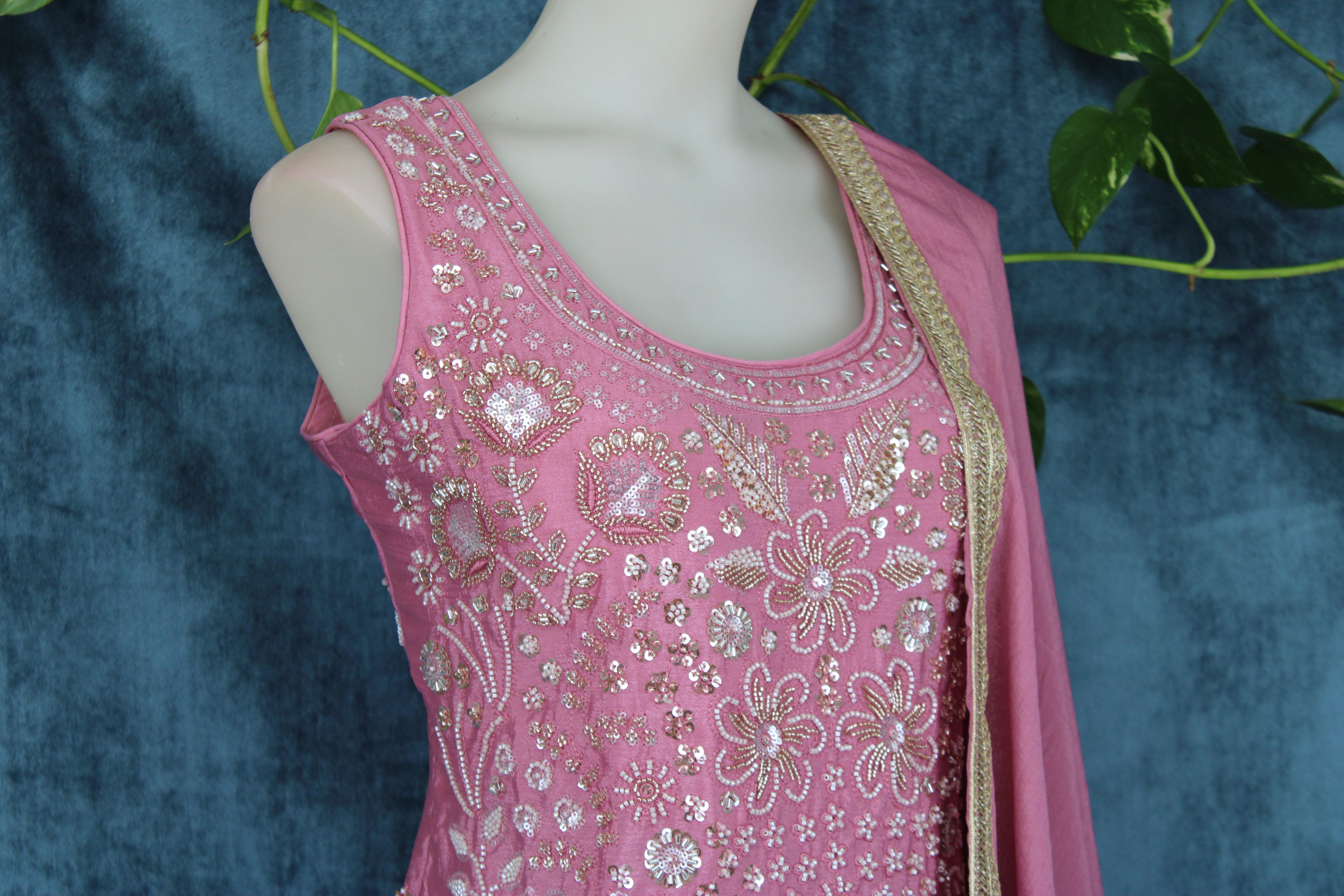 Anubha - Plazo Suits