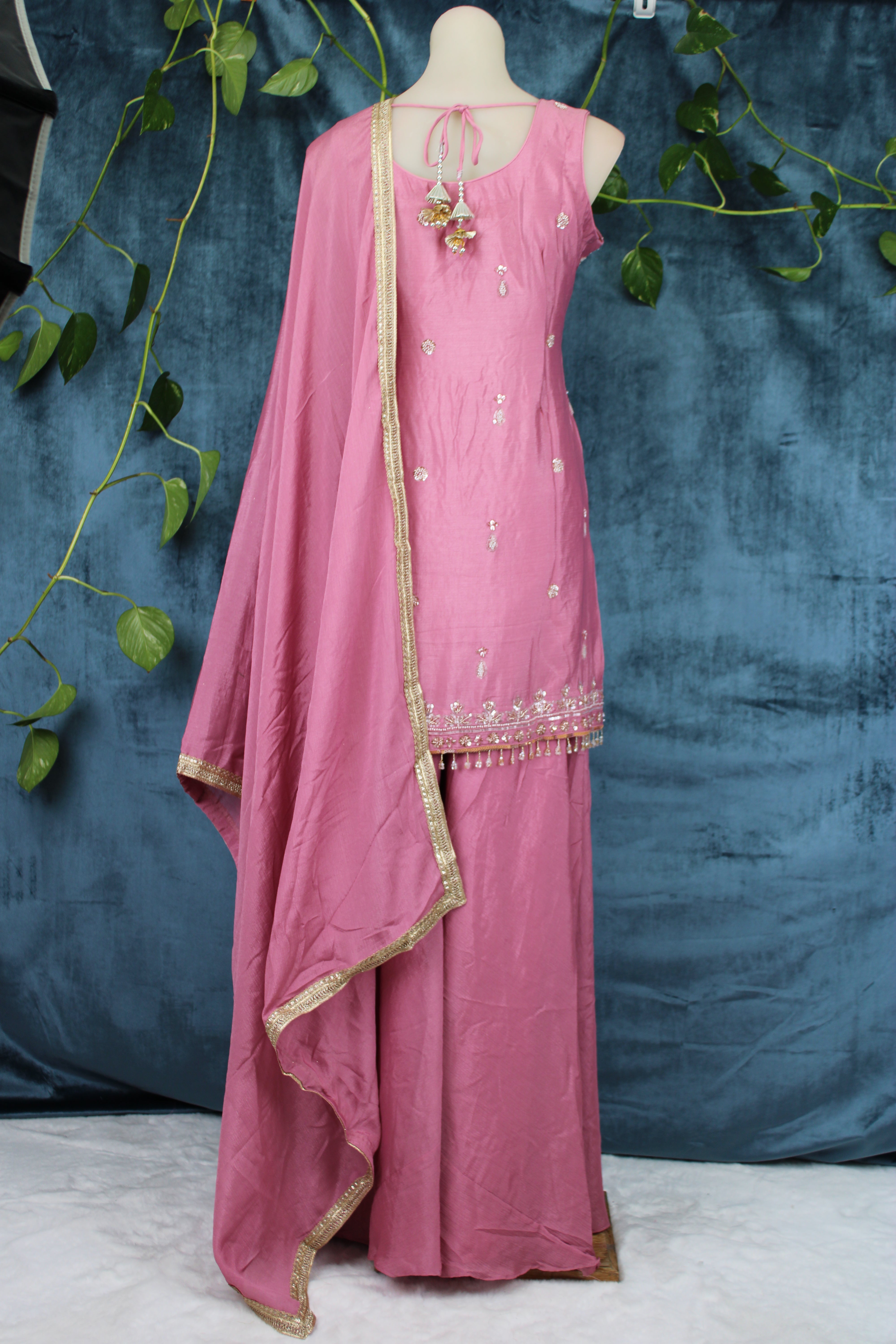Anubha - Plazo Suits