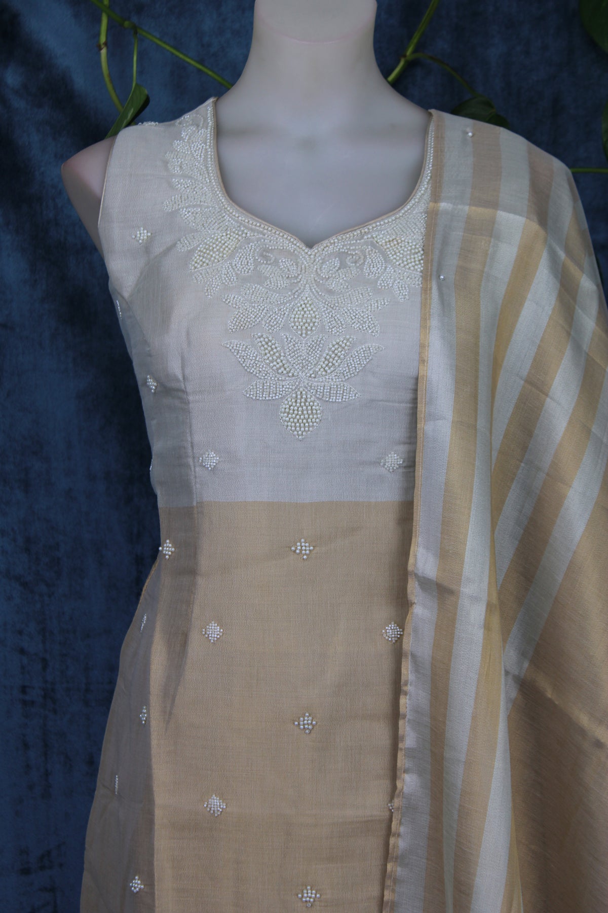 Chandni - Plazo Suit