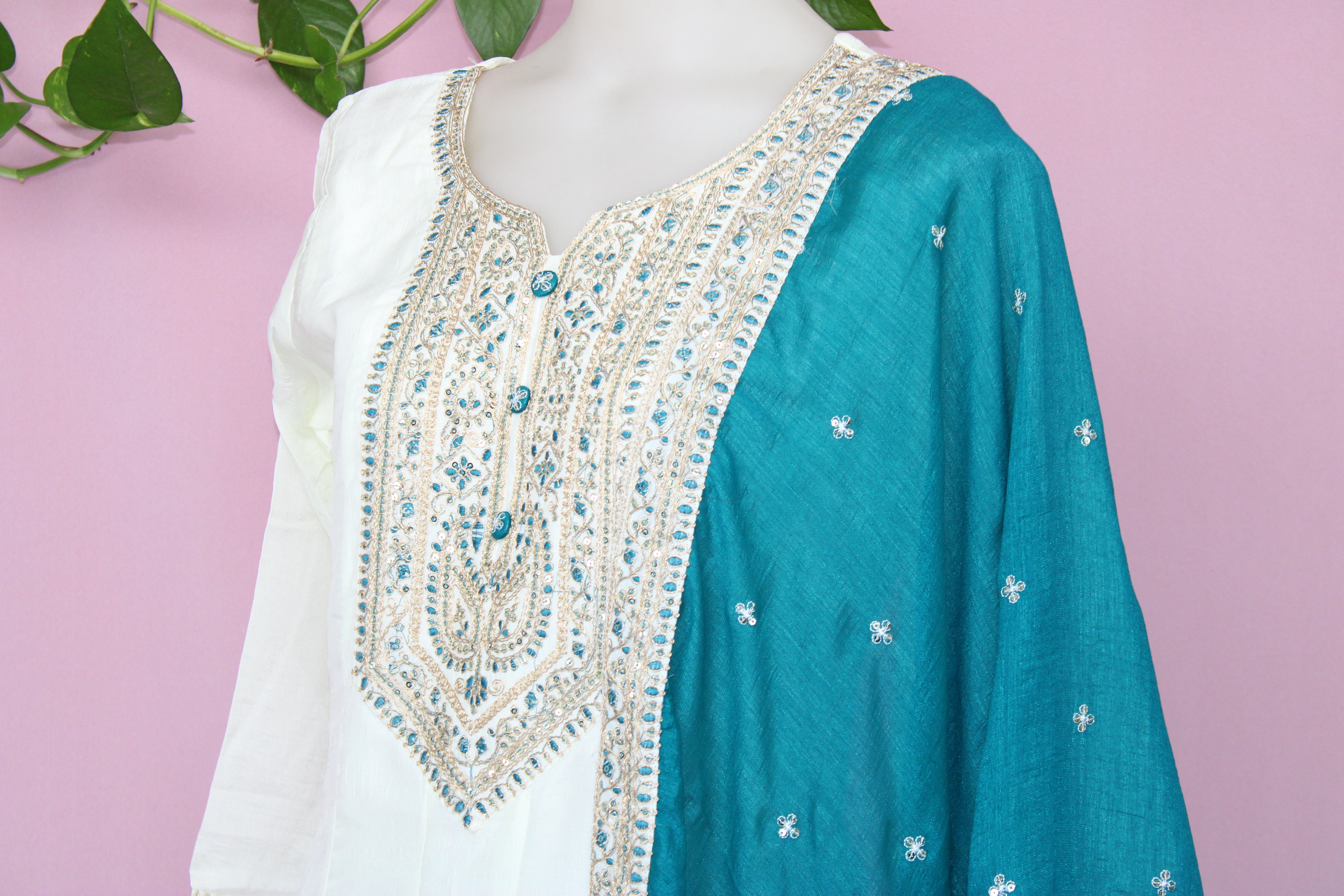 Kaveri Saaisneh kaveri-saaisneh