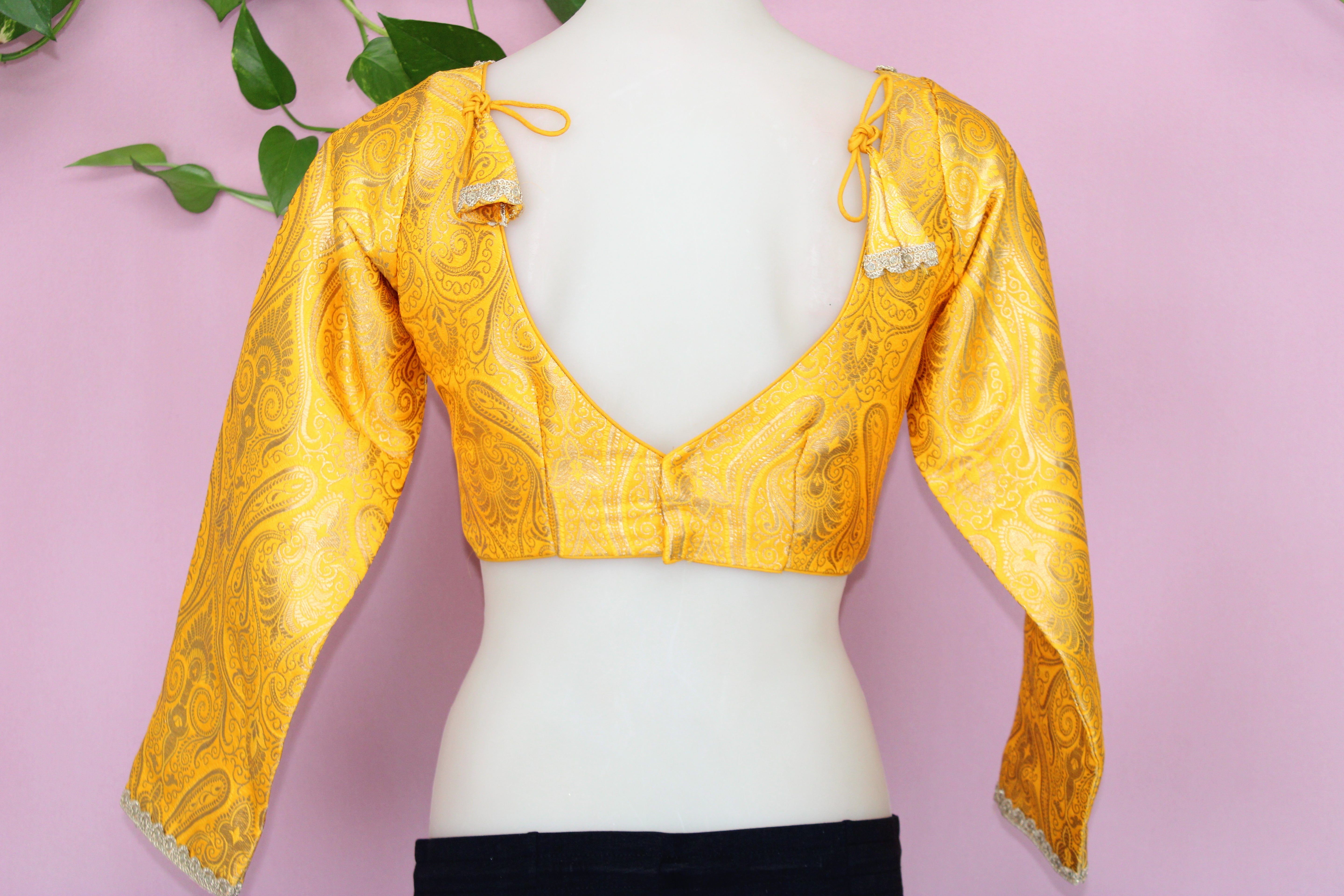 Misha - Banarasi Silk Brocade Full Sleeves Padded Princess Cut Blouse