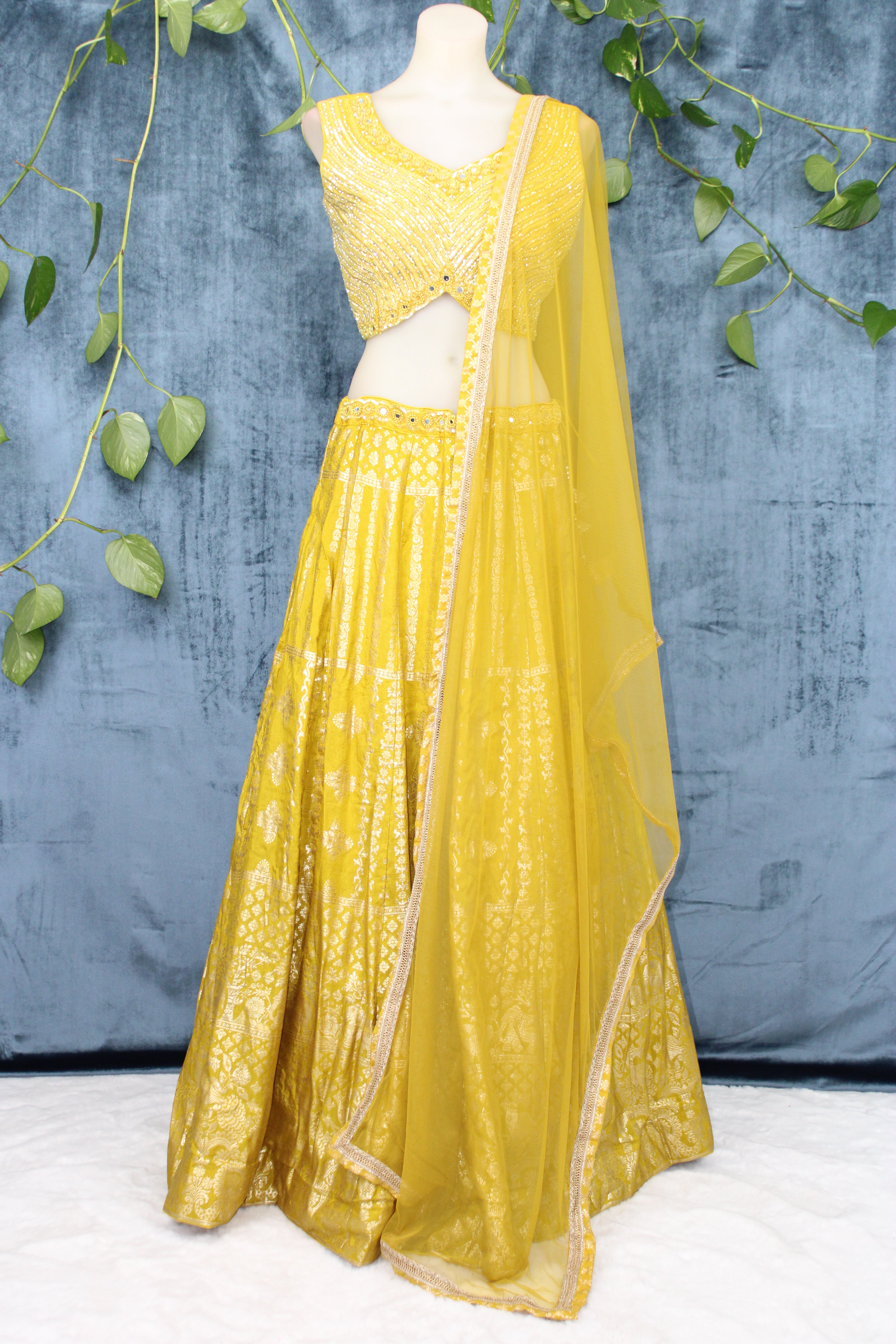 Ramya - Silk Brocade Panel Lehenga