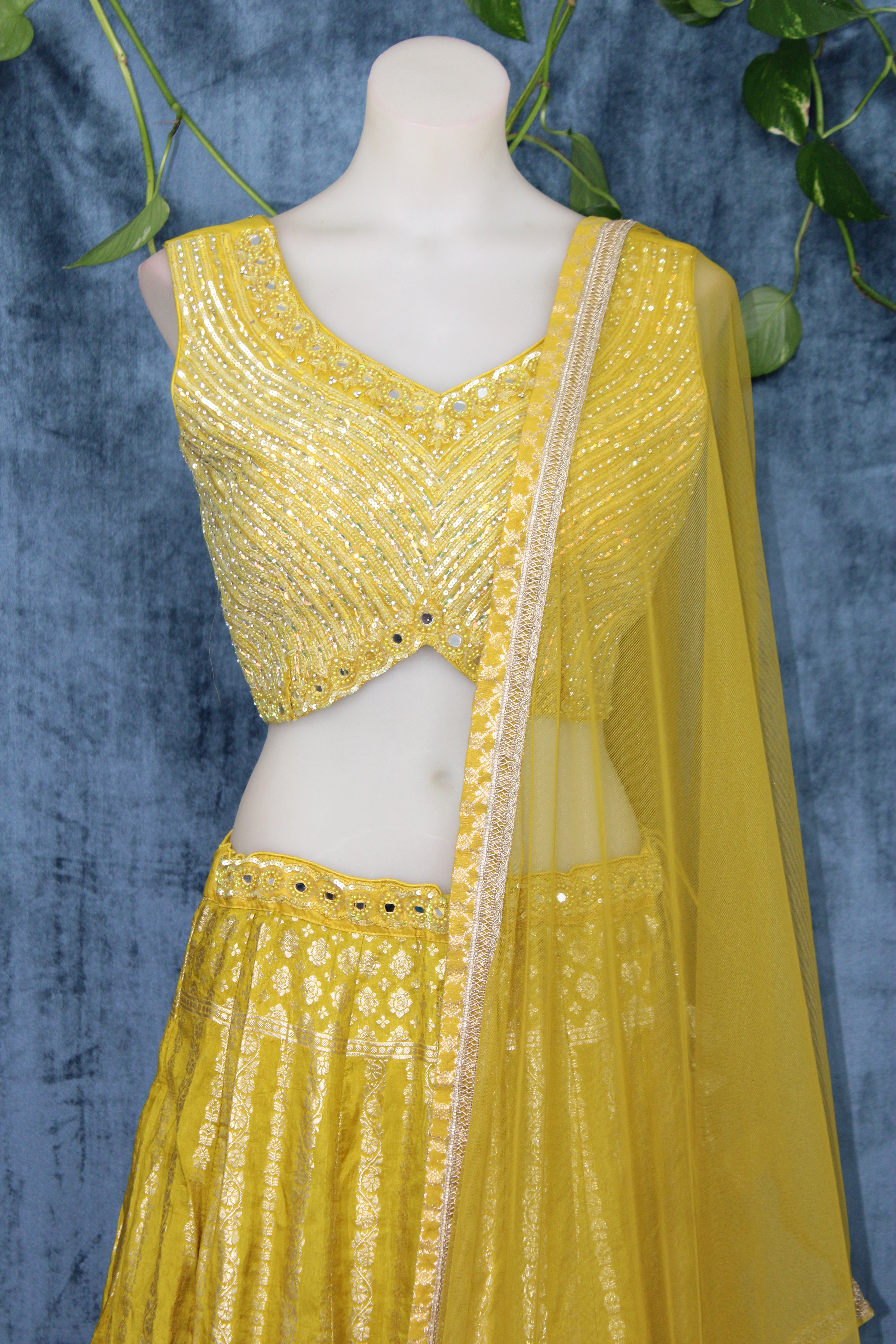 Ramya - Silk Brocade Panel Lehenga