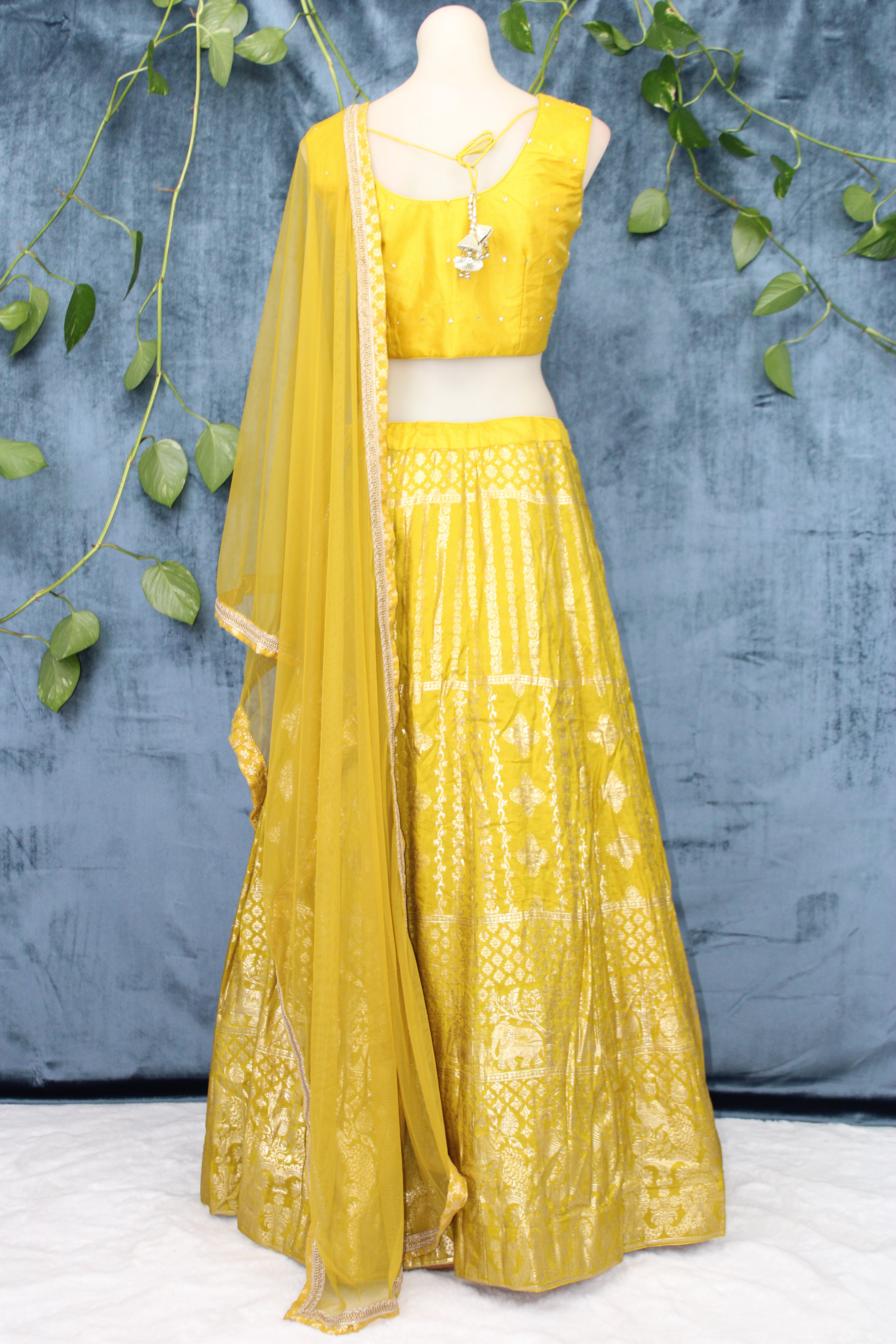 Ramya - Silk Brocade Panel Lehenga