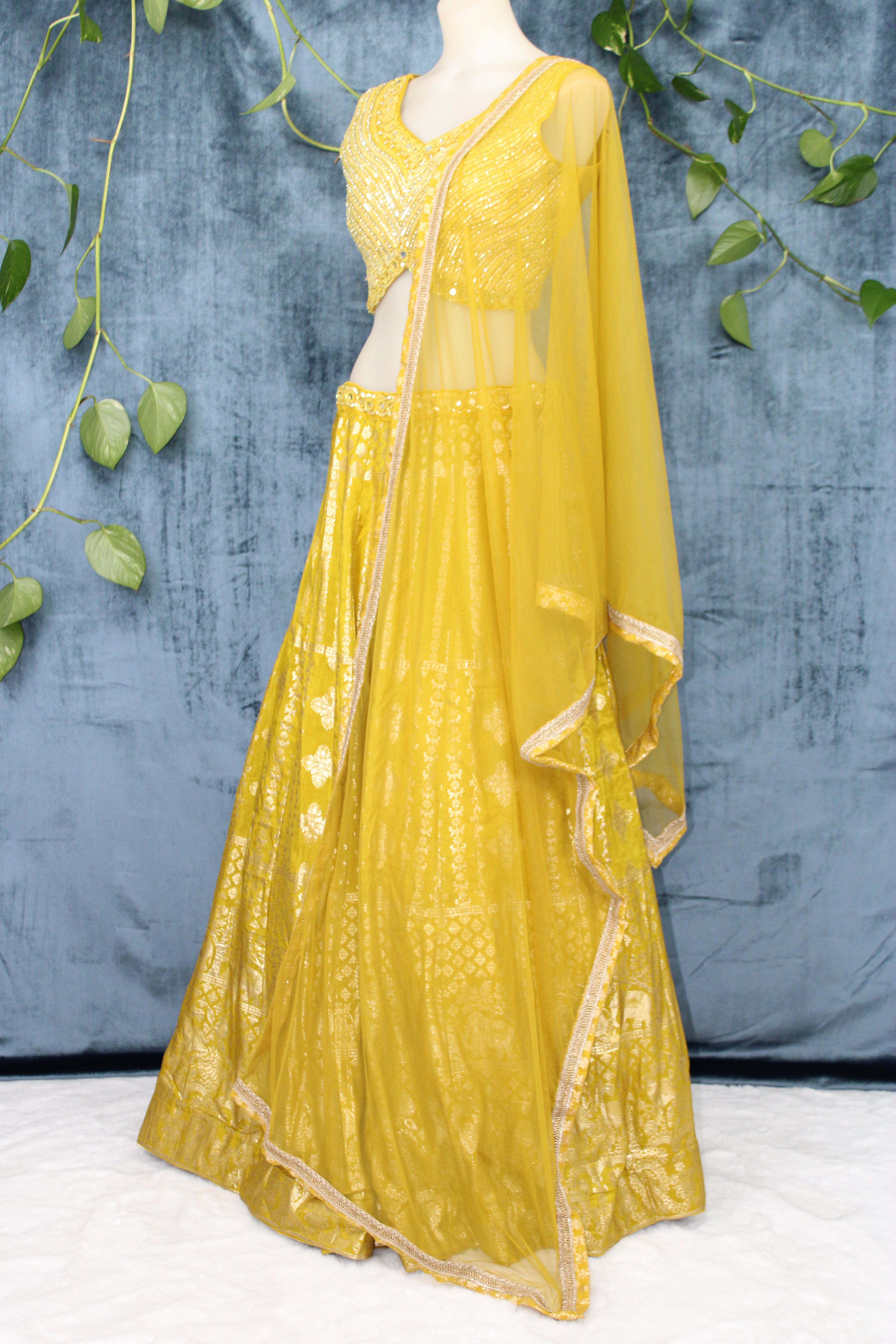 Ramya - Silk Brocade Panel Lehenga