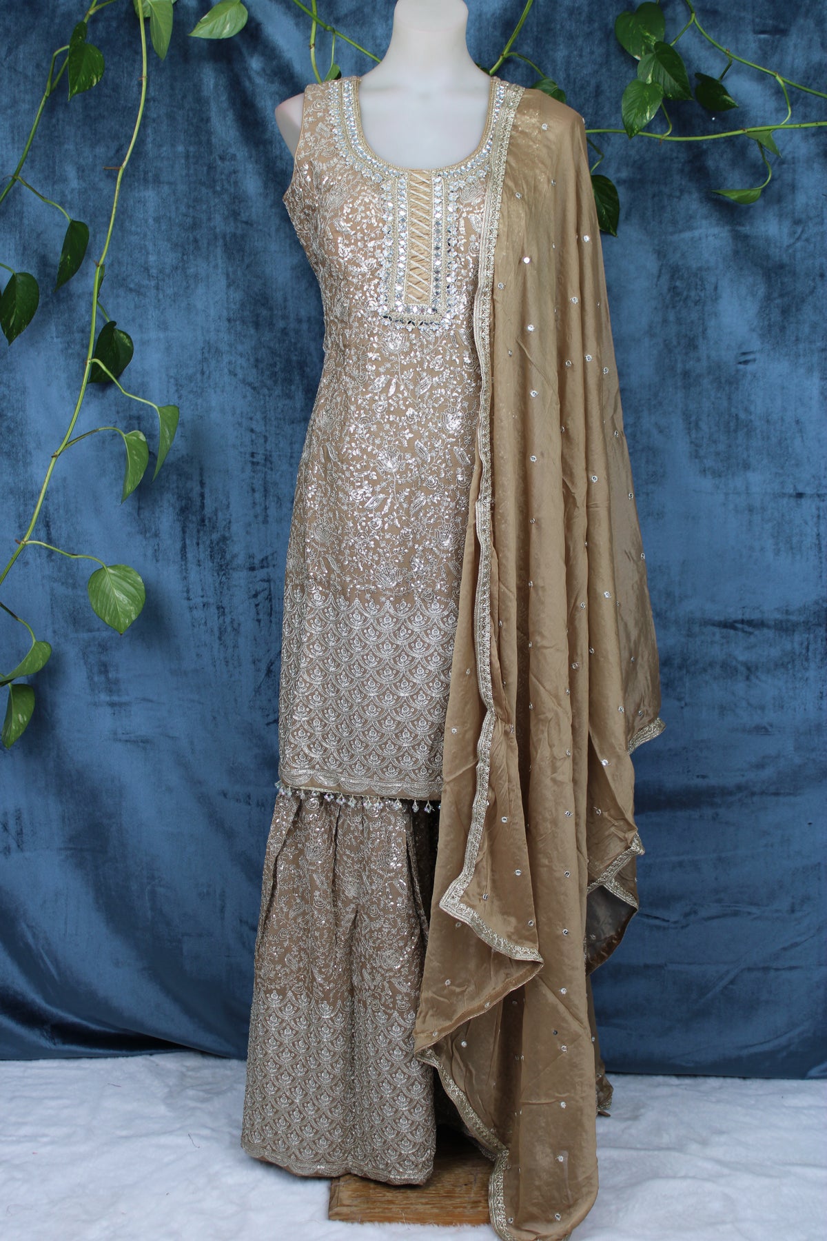 Rumi - Sharara Suit