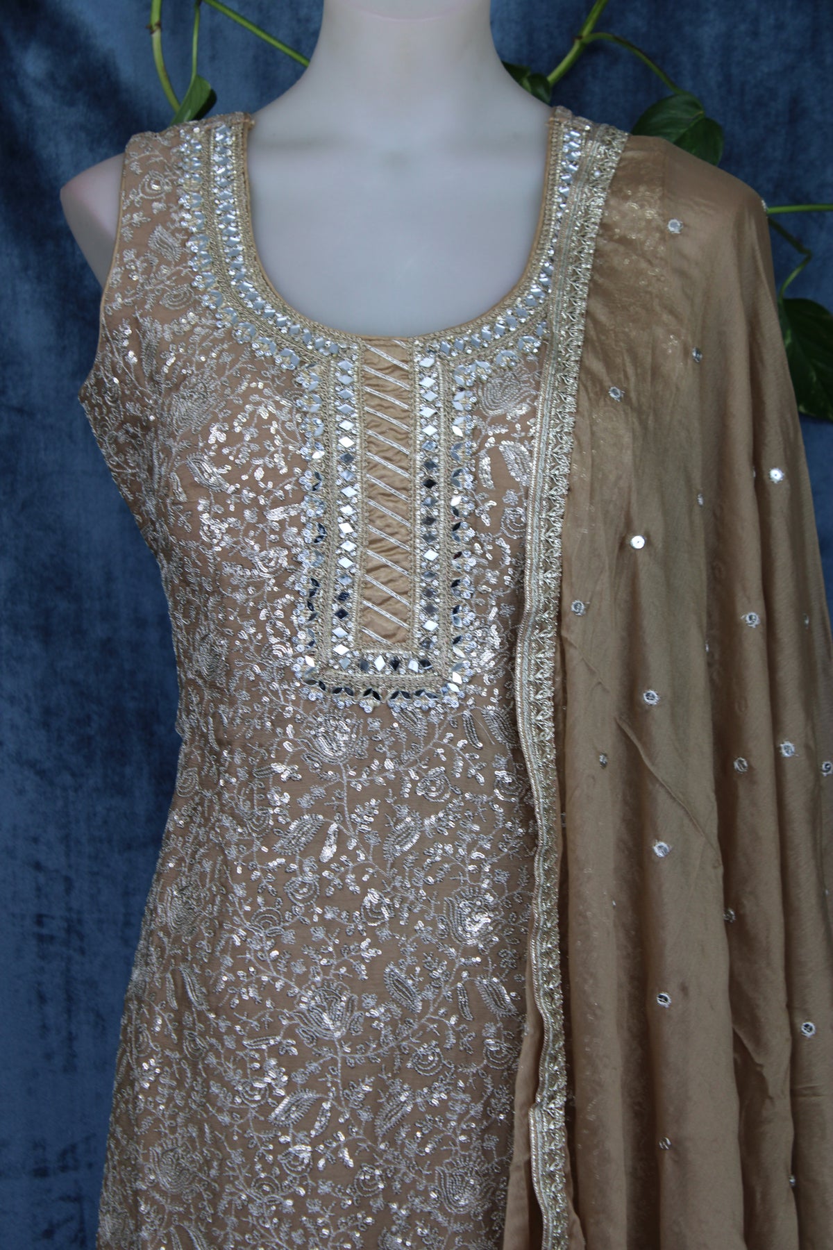 Rumi - Sharara Suit