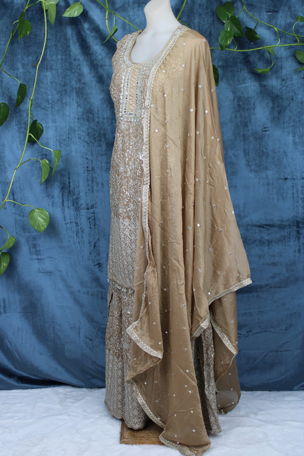 Rumi - Sharara Suit