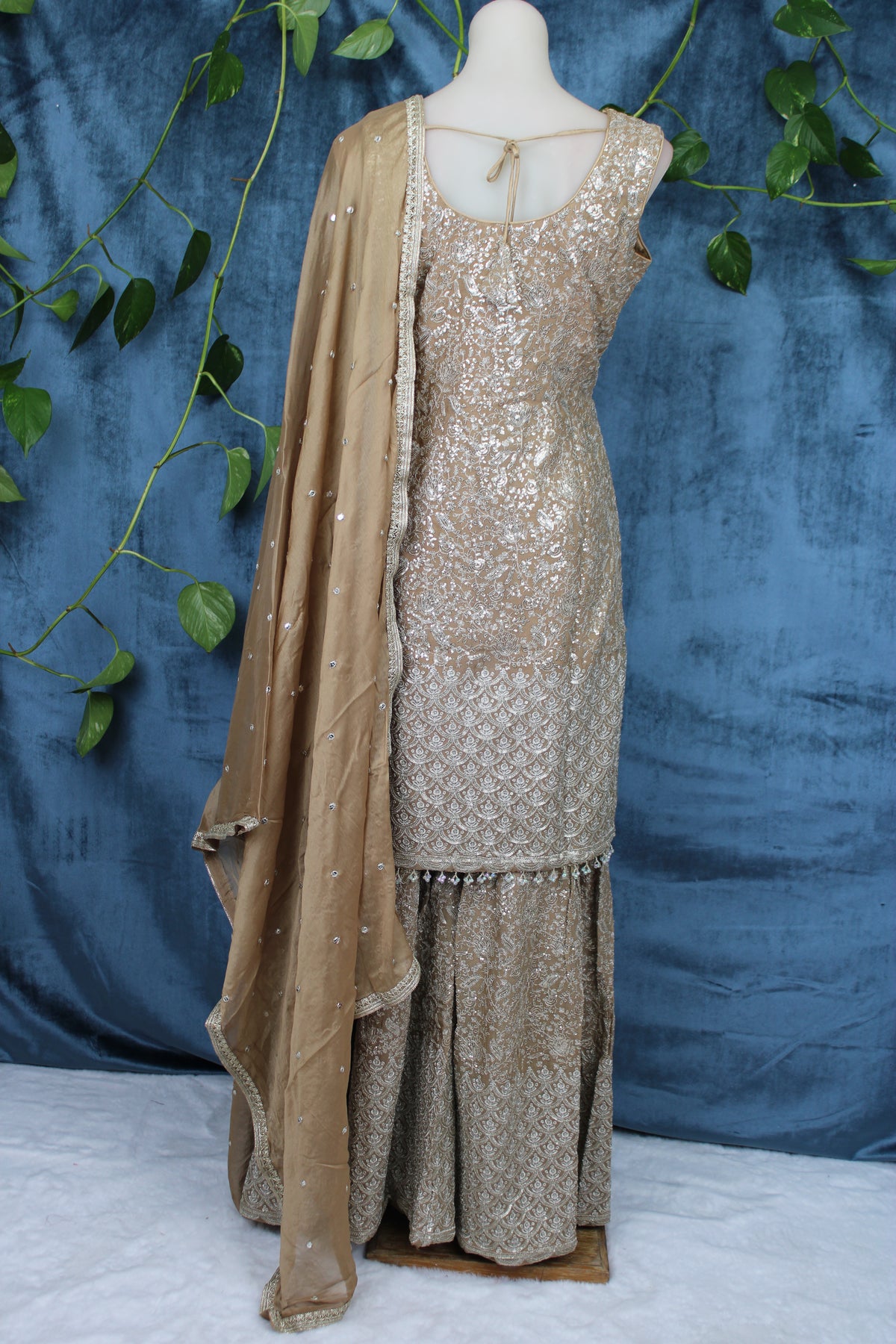 Rumi - Sharara Suit