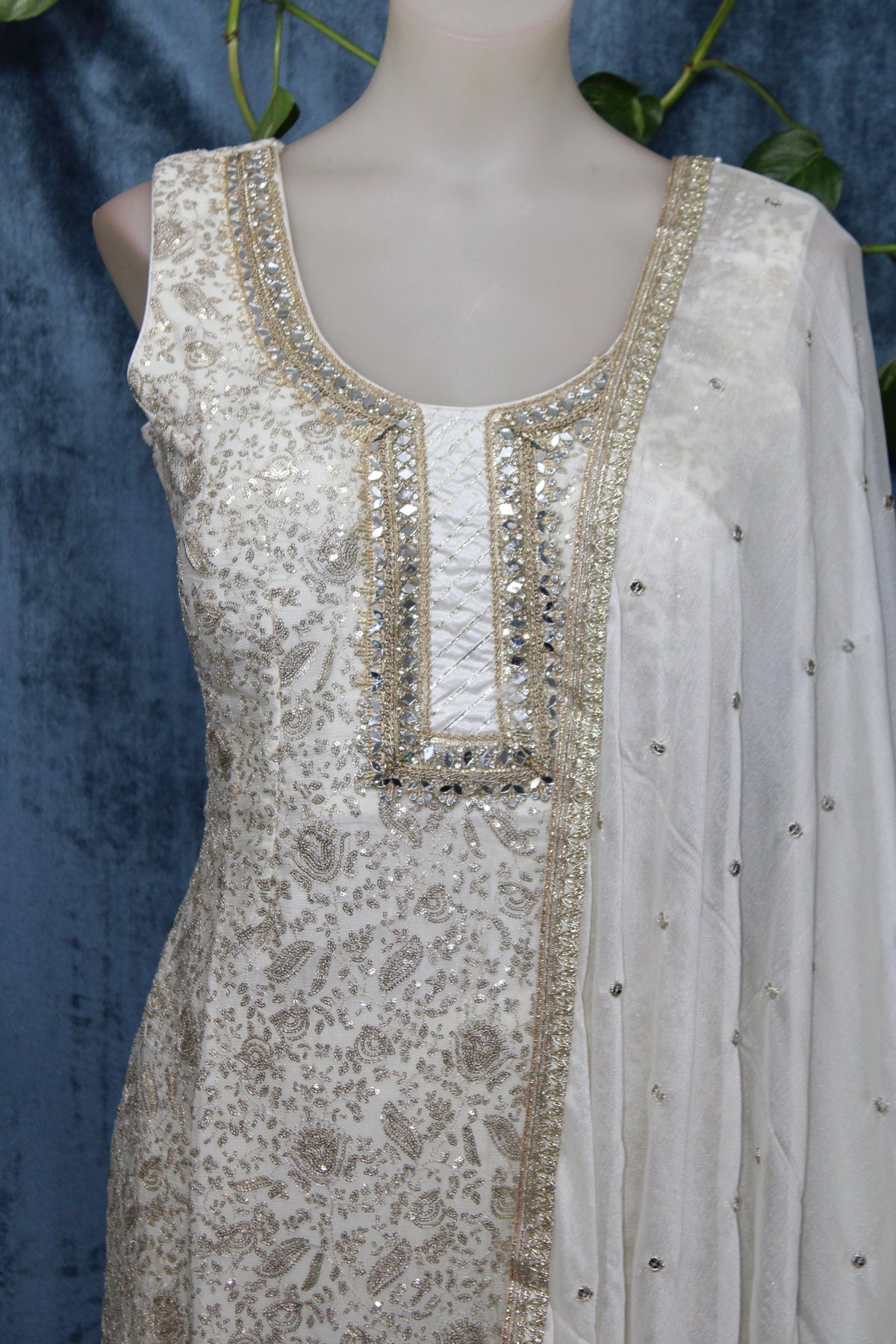 Rumi - Sharara Suit