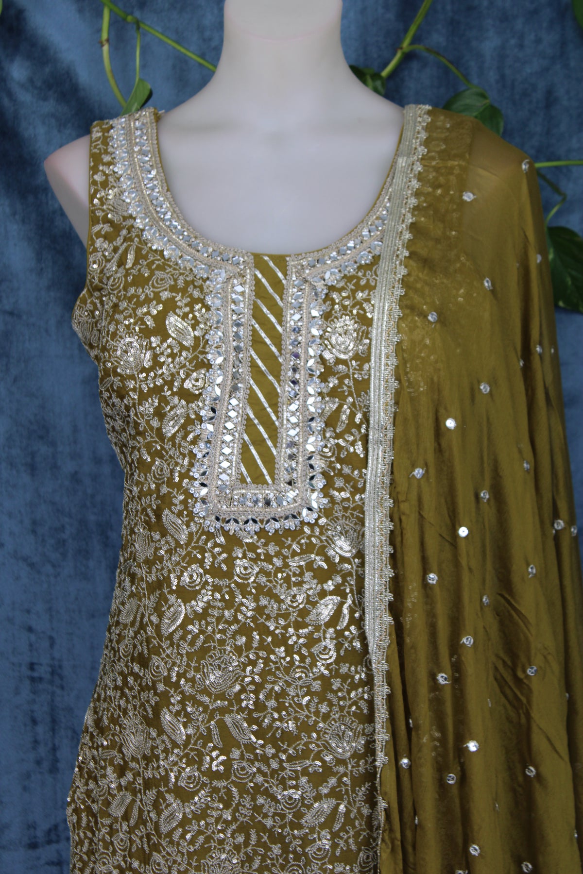 Rumi - Sharara Suit
