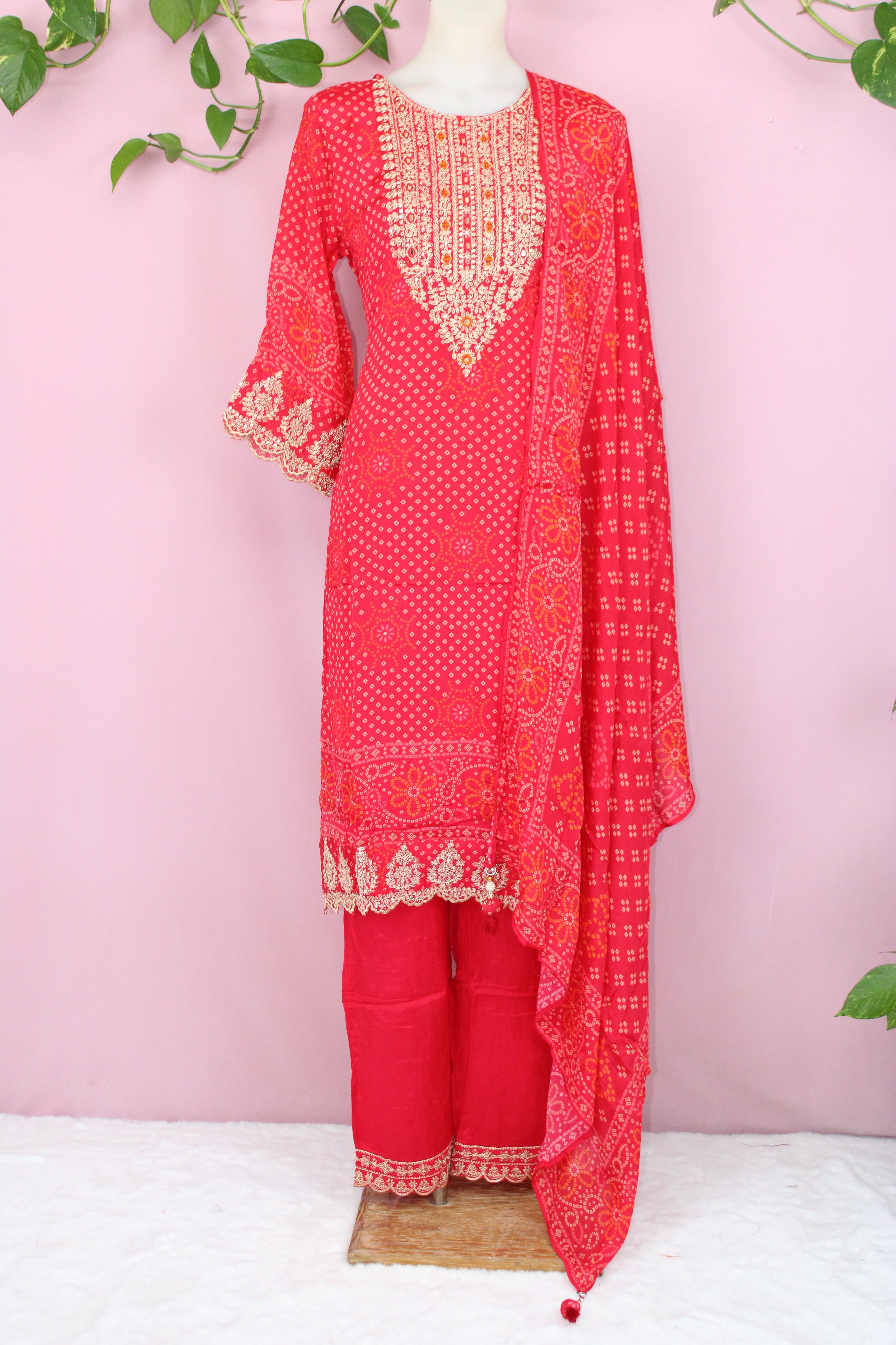 Samita - Chinnon Embroidery Straight Suit