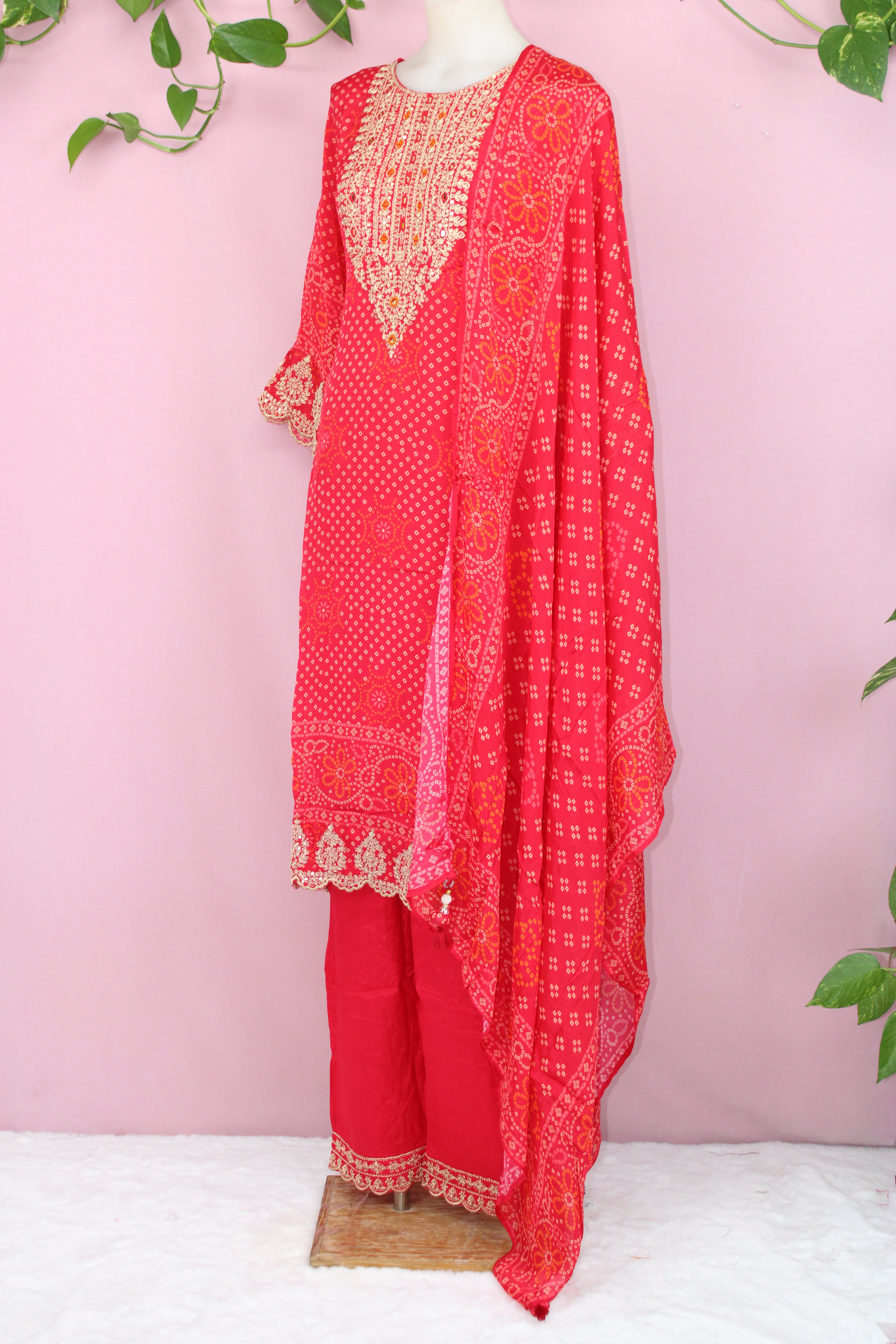 Samita - Chinnon Embroidery Straight Suit