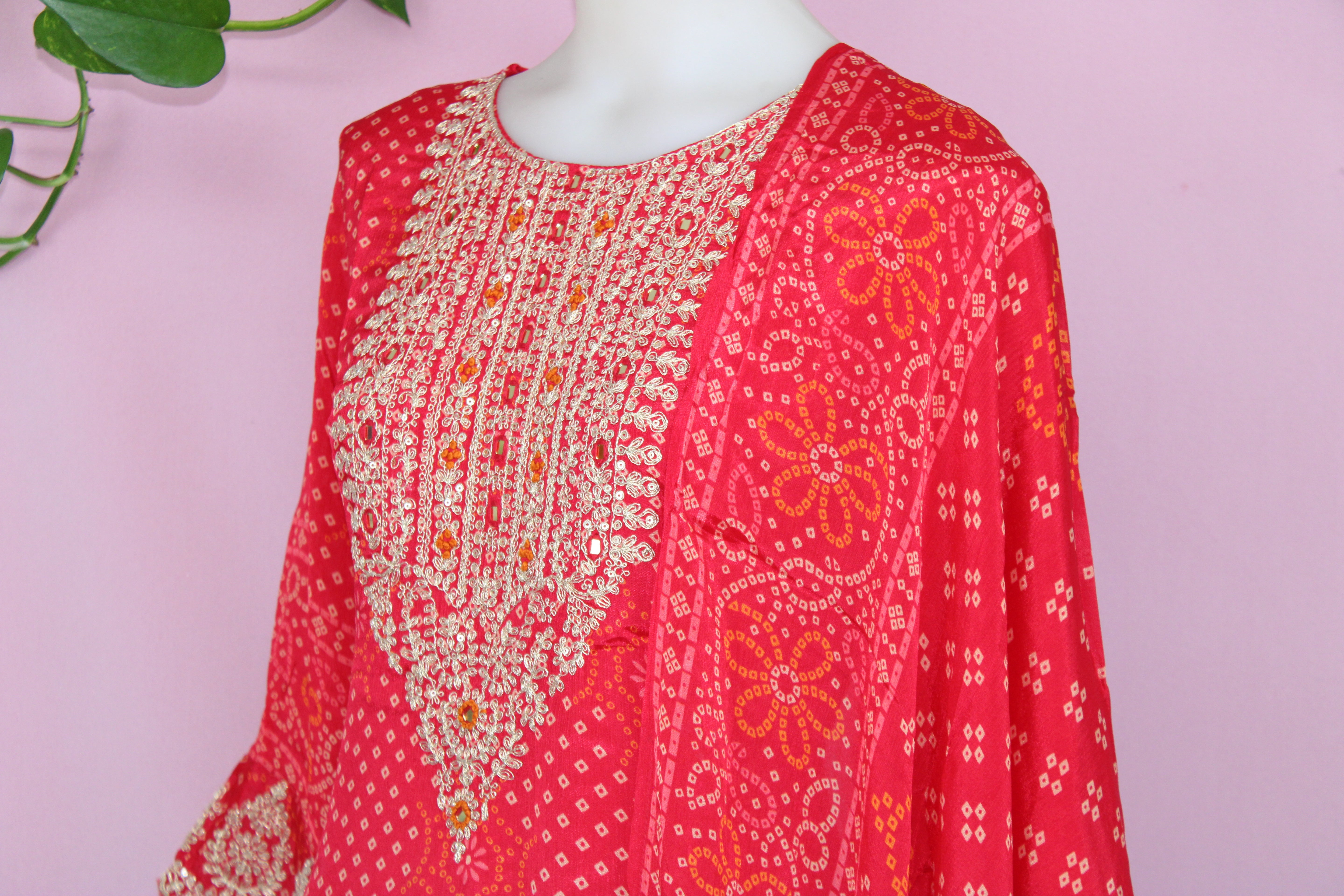 Samita - Chinnon Embroidery Straight Suit