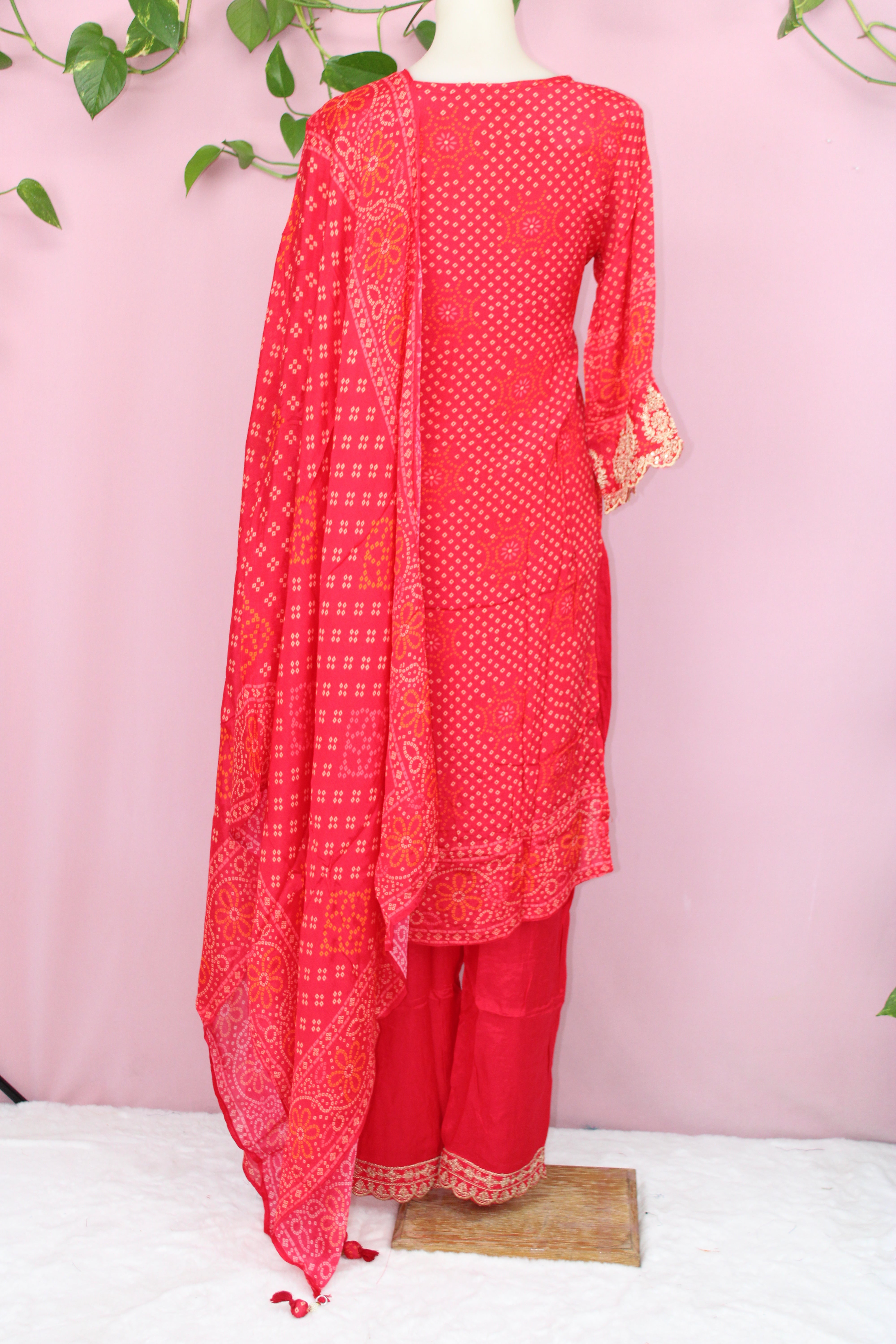 Samita - Chinnon Embroidery Straight Suit