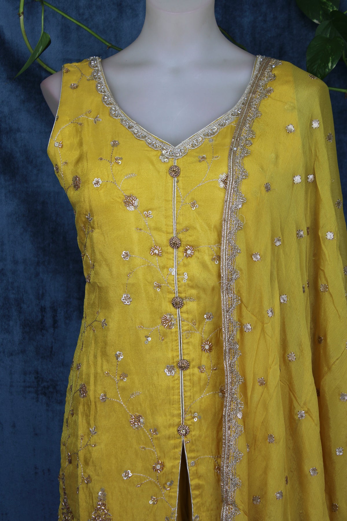 Samya - Plazo Suit
