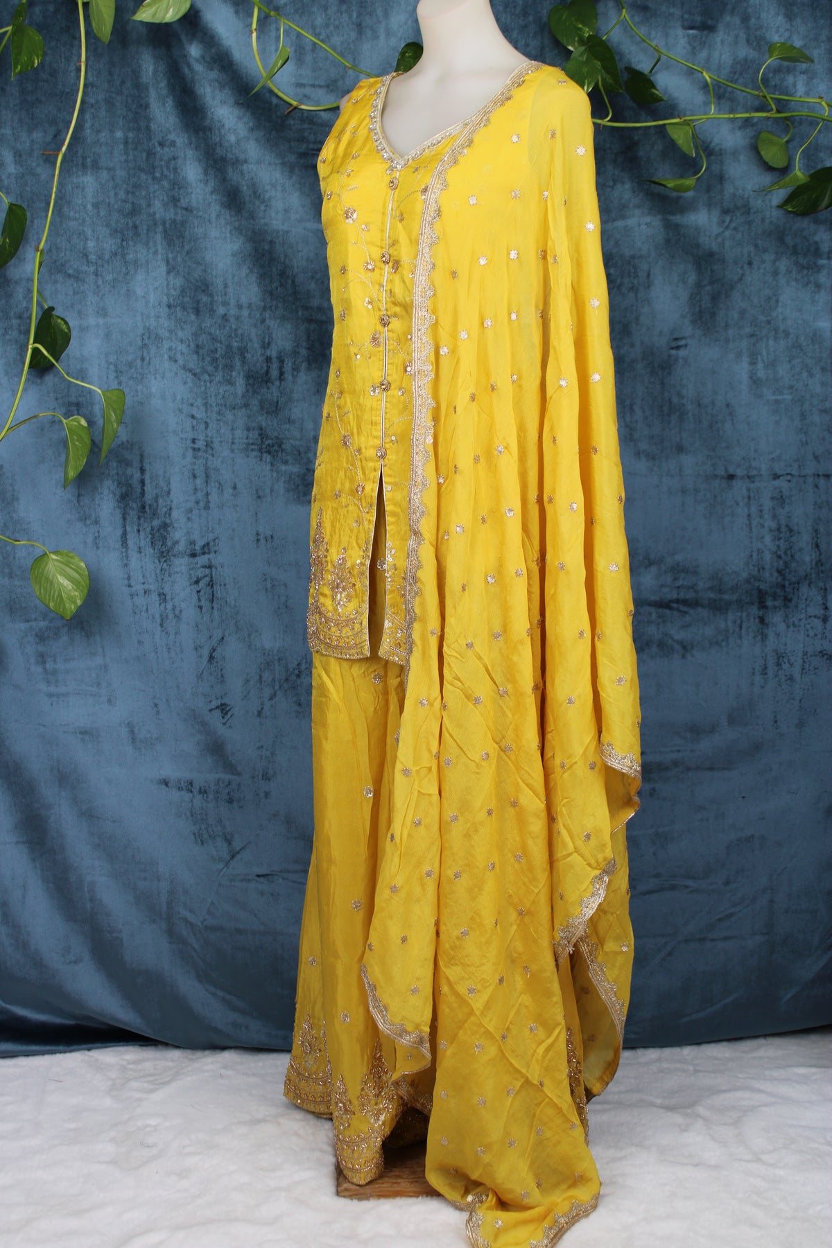 Samya - Plazo Suit