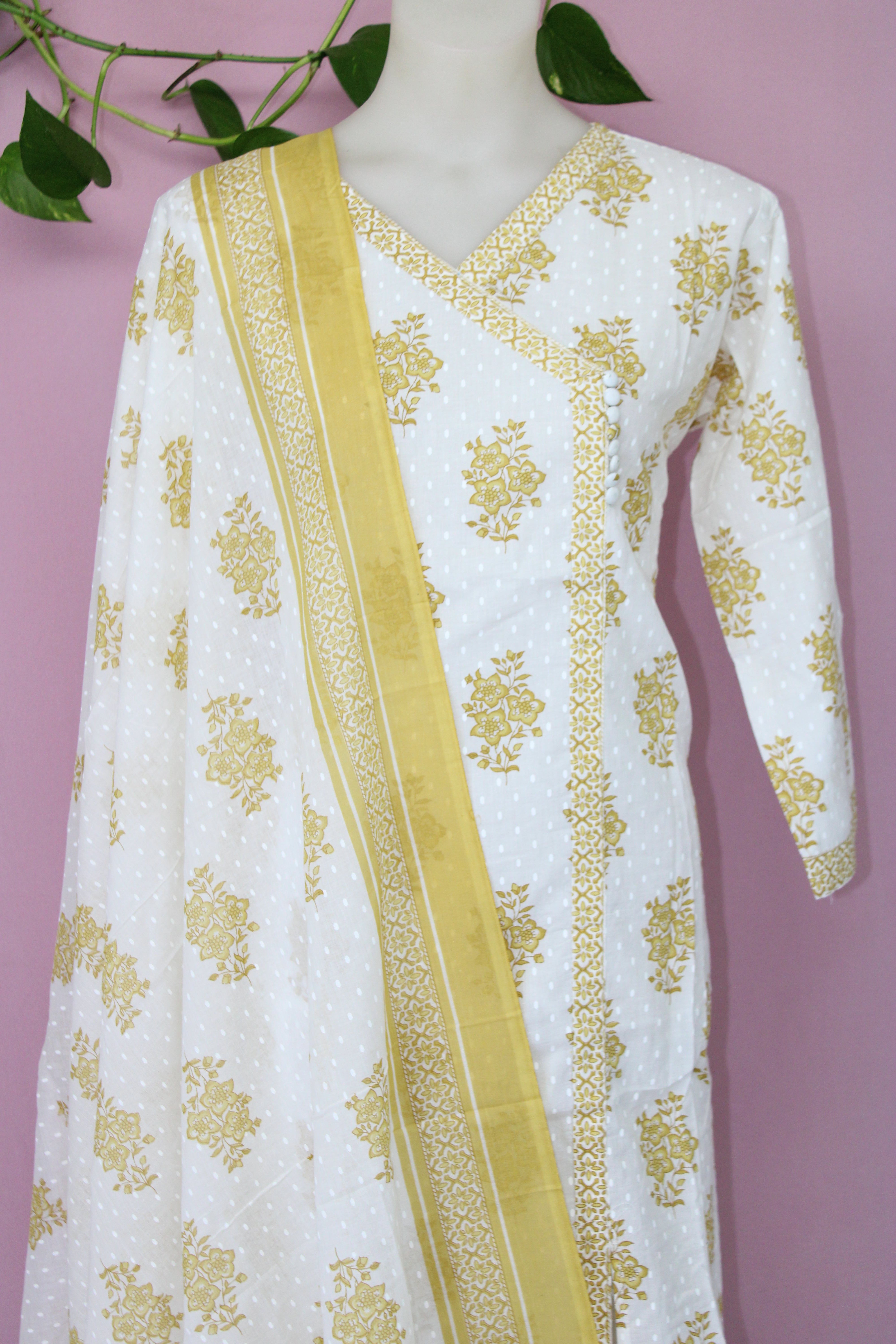 Shiba - Cotton  Angrakha Design suit