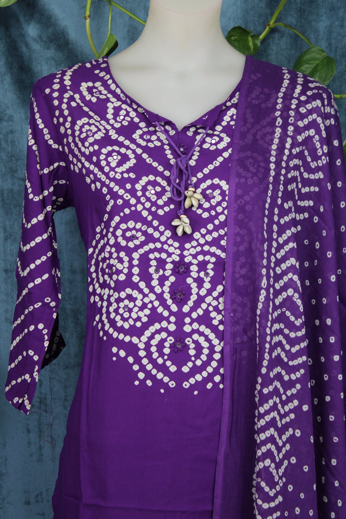 Sunita - Plazo Suit