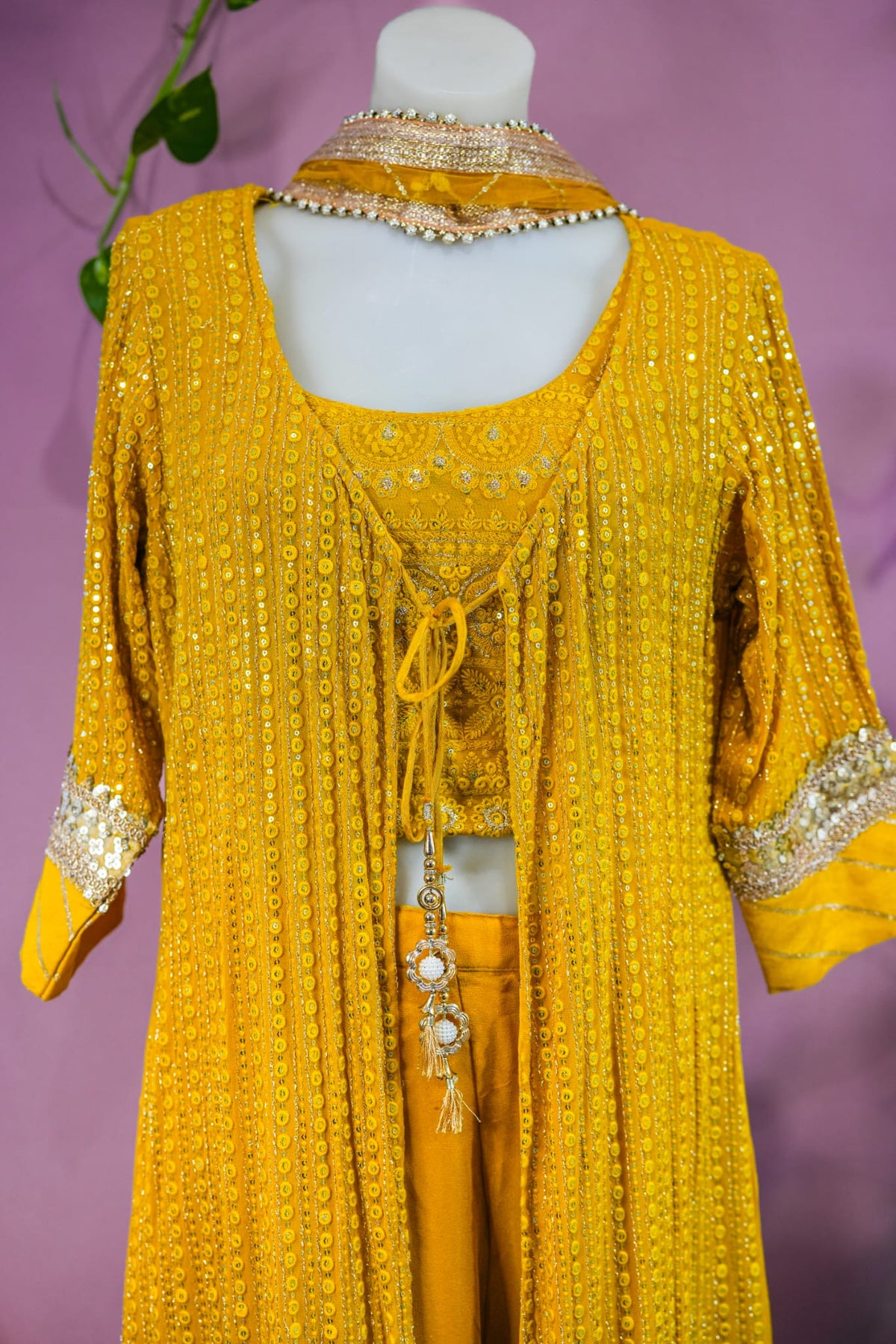 Rina - Sharaara Suit