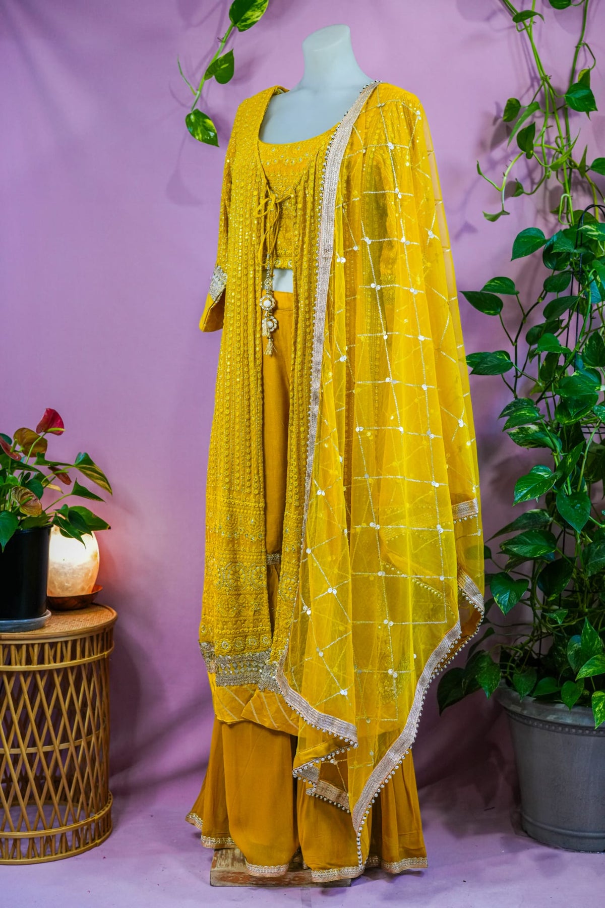 Rina - Sharaara Suit